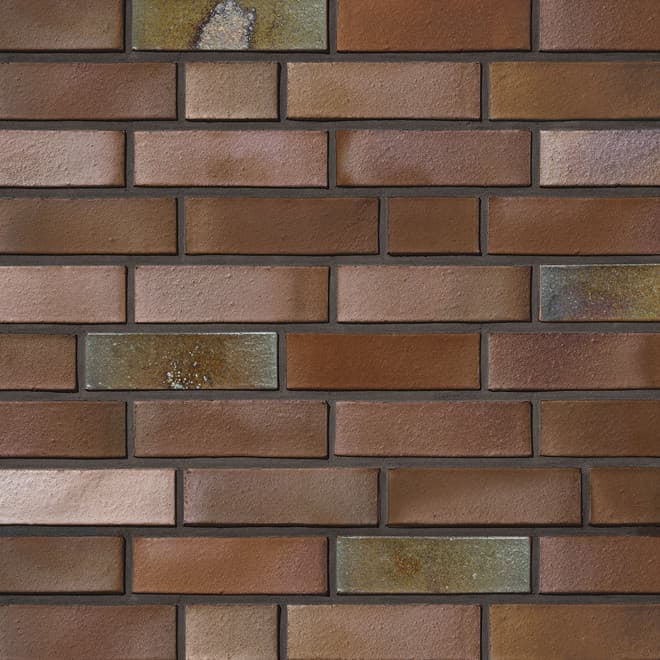 Accum niebieskobrązowa Bernstein