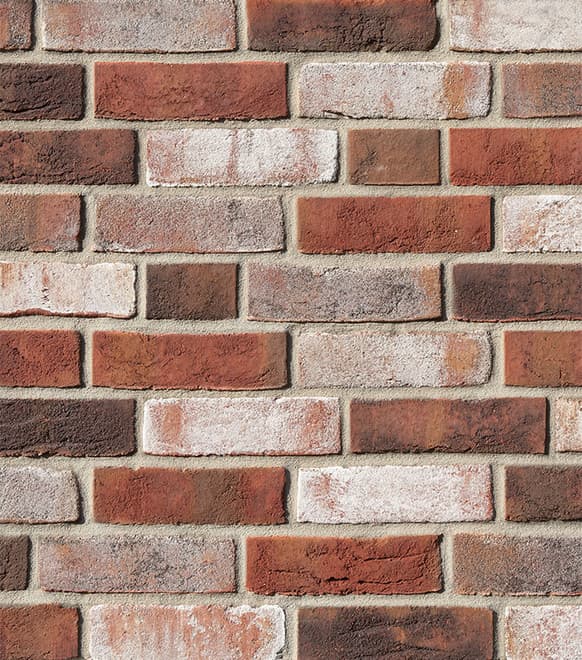 Dykbrand brazowobiała cieniowana