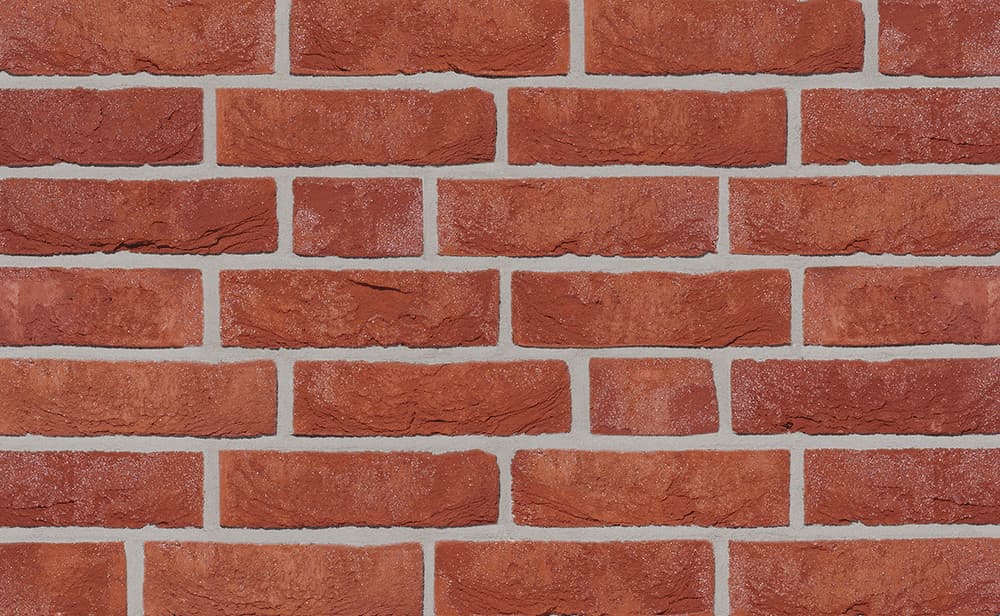 Formback czerwonobrązowa