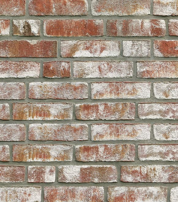 Geestbrand biała cieniowana