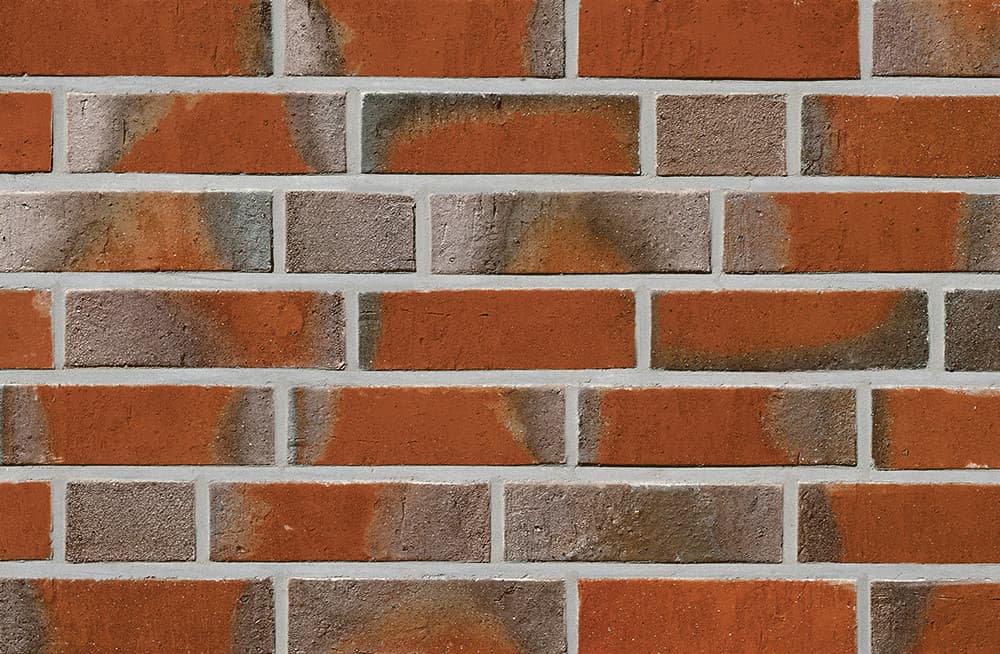 Rysum podpalana cieniowana