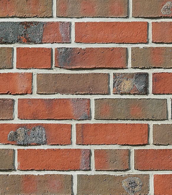 Wiesmoor niebieskoczerwona cieniowana