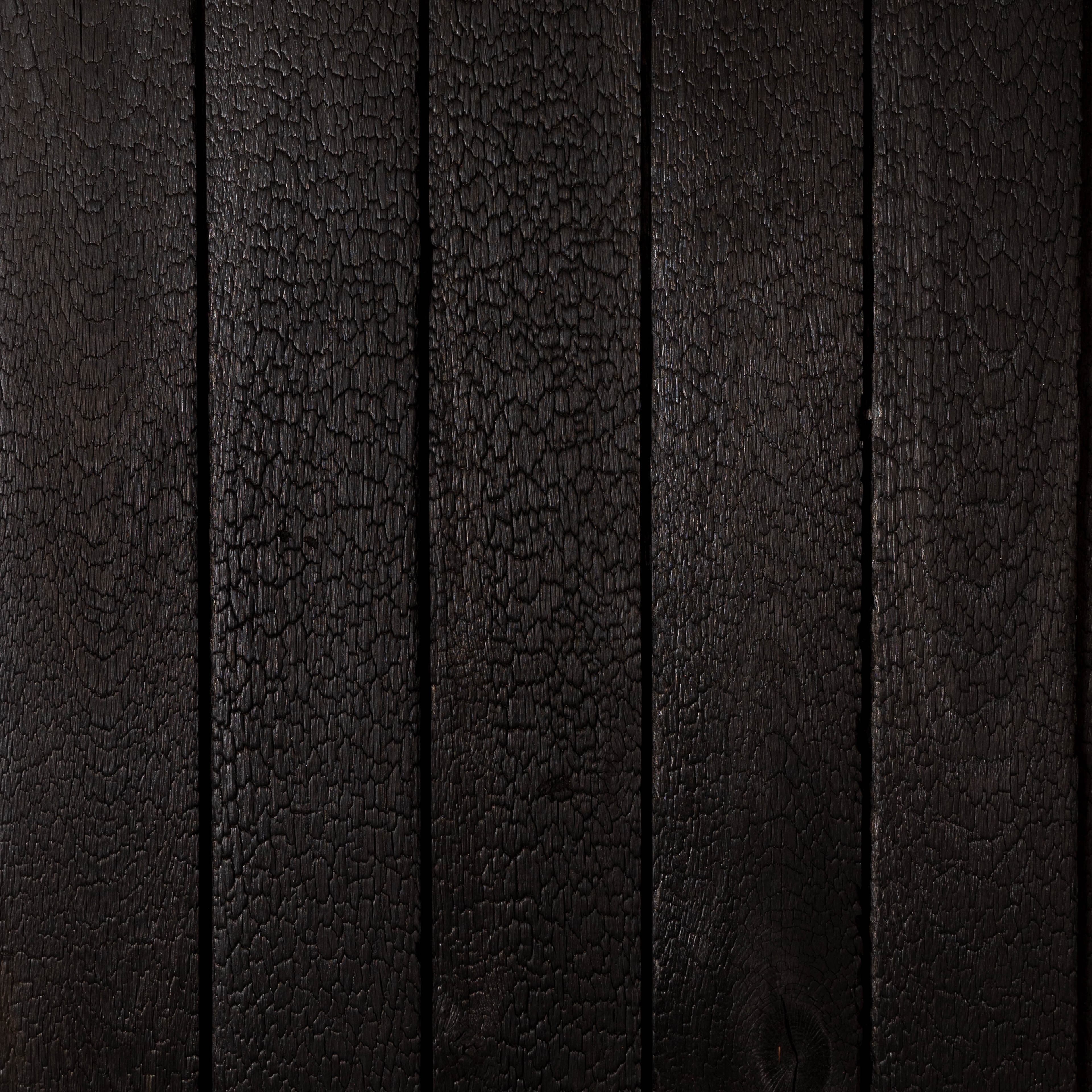 Azuolas_Carbon