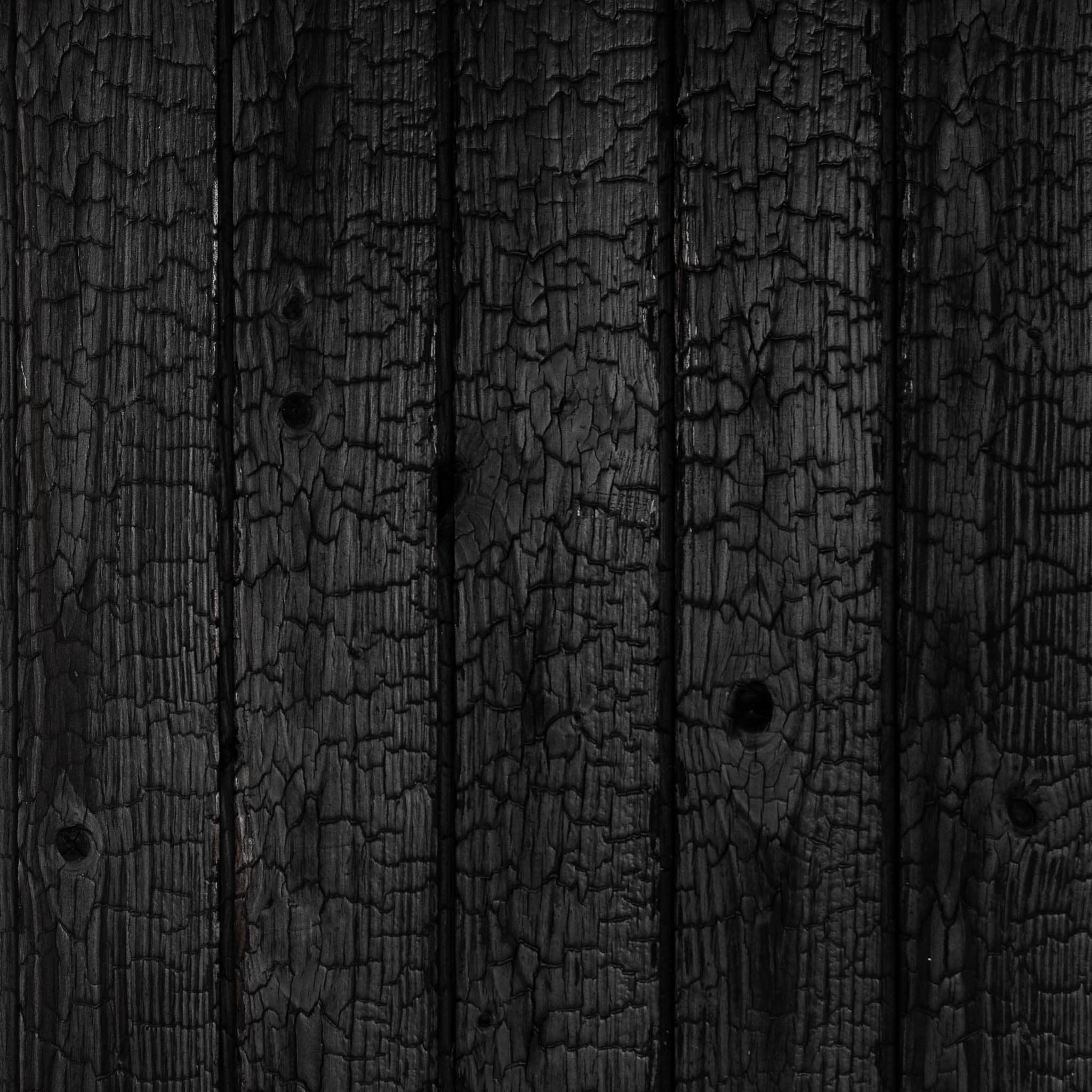 Maumedis_carbon