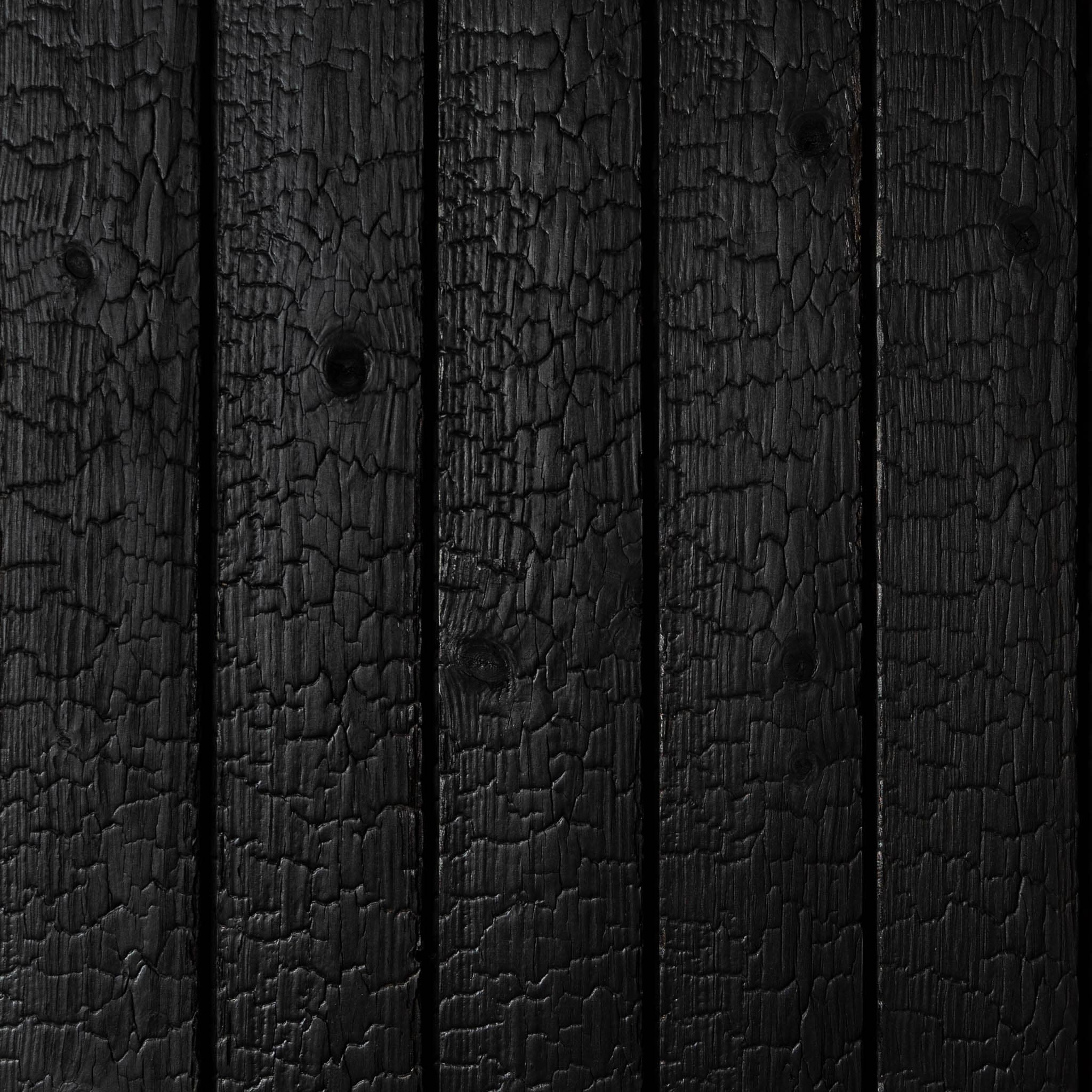 Egle_Carbon