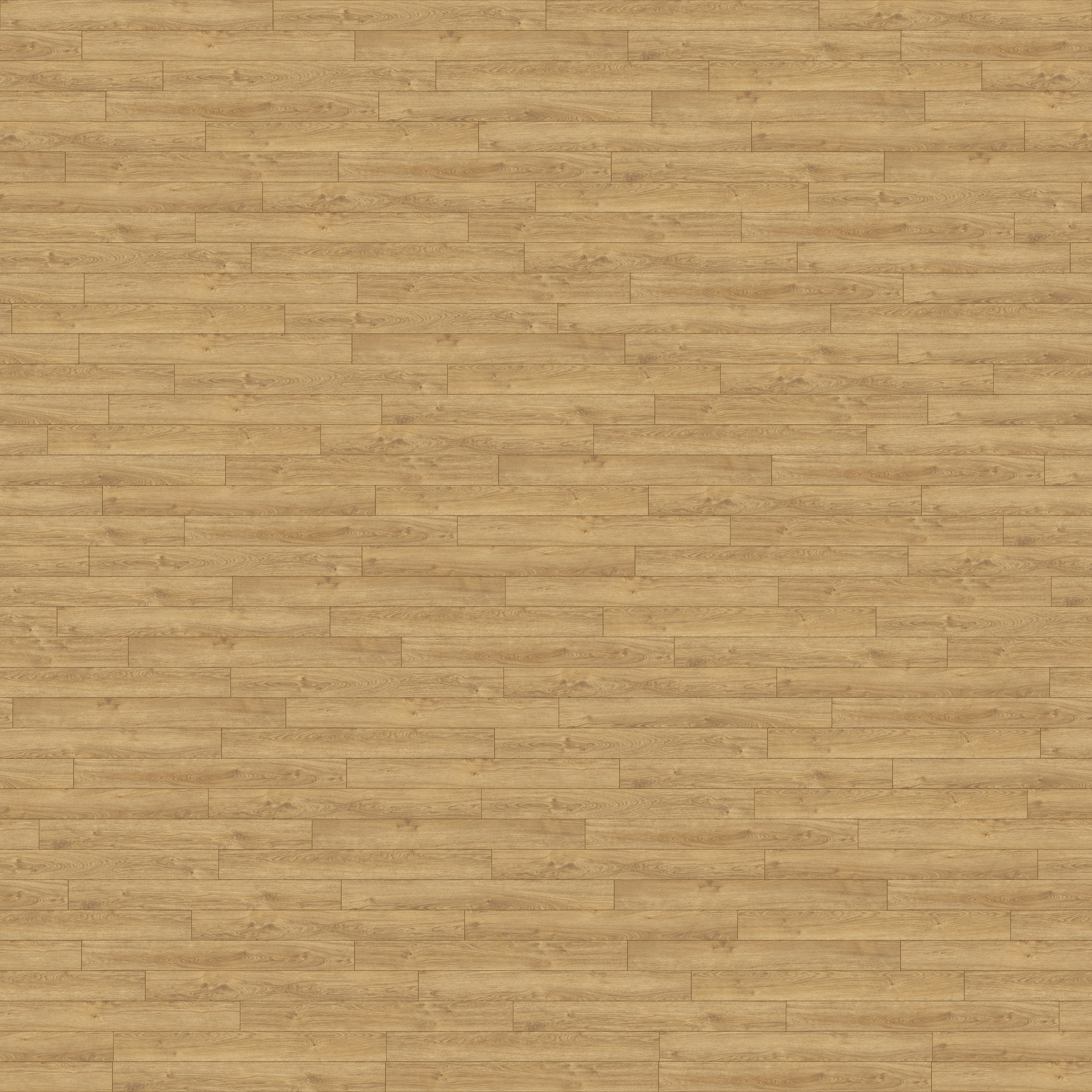 folder image
