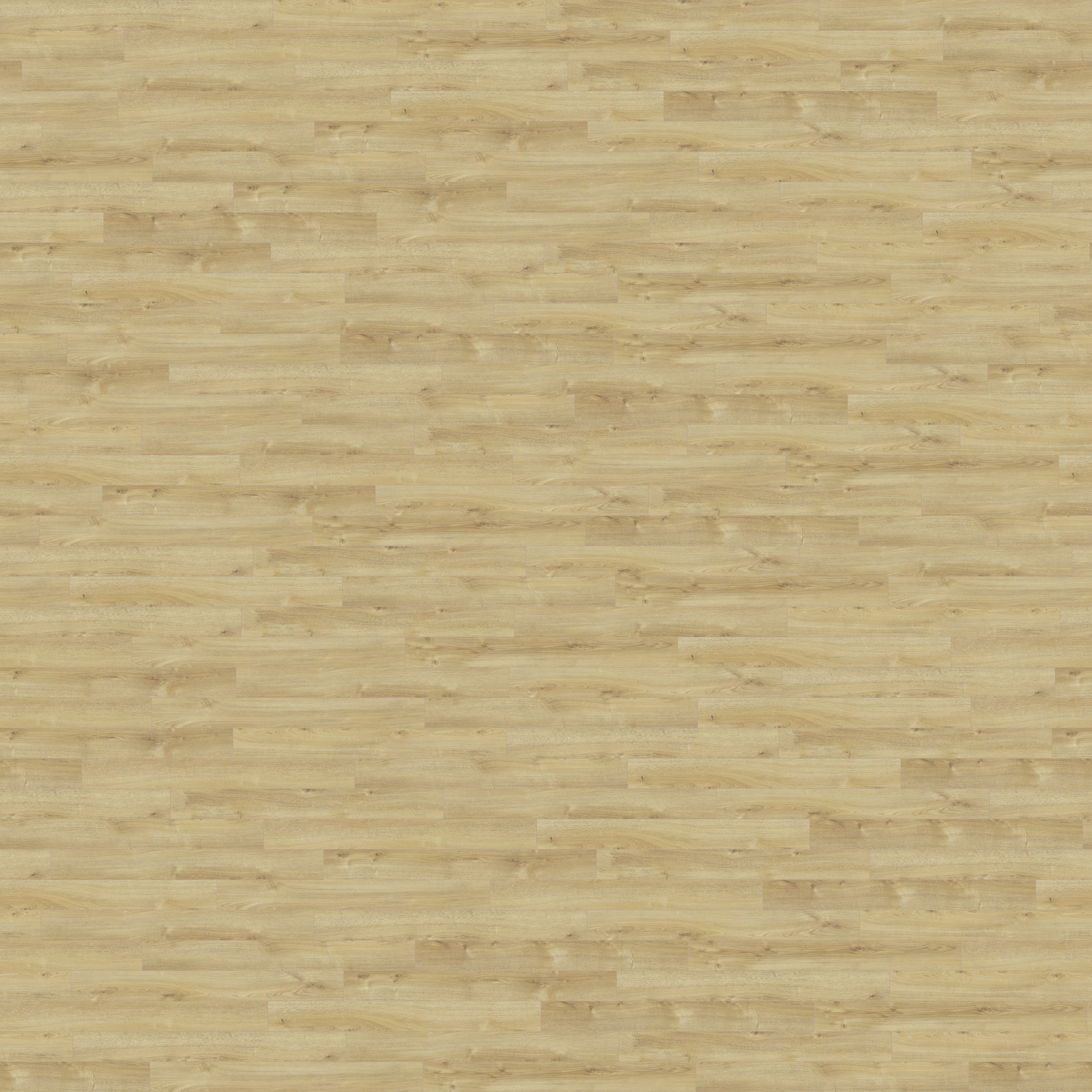 folder image