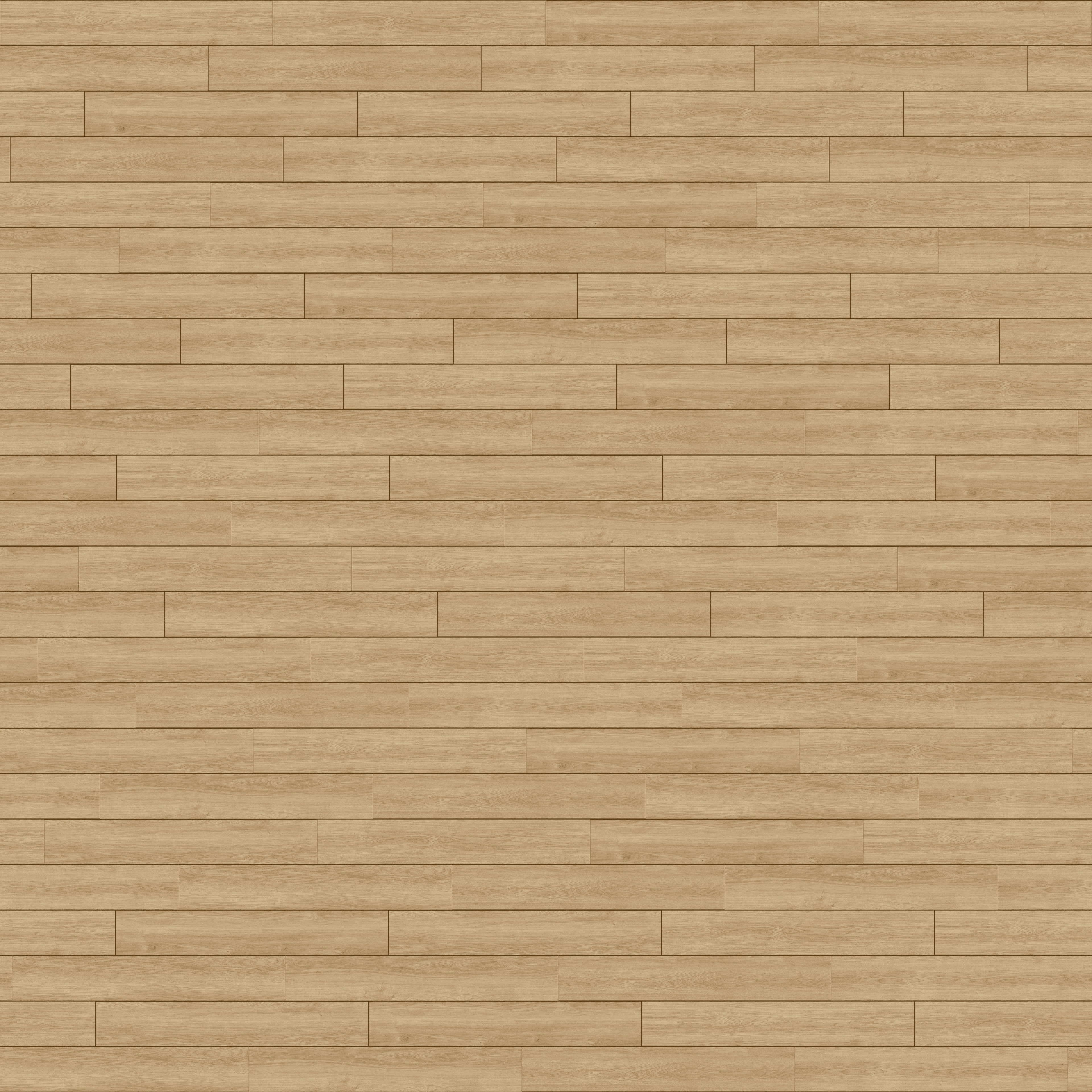 folder image