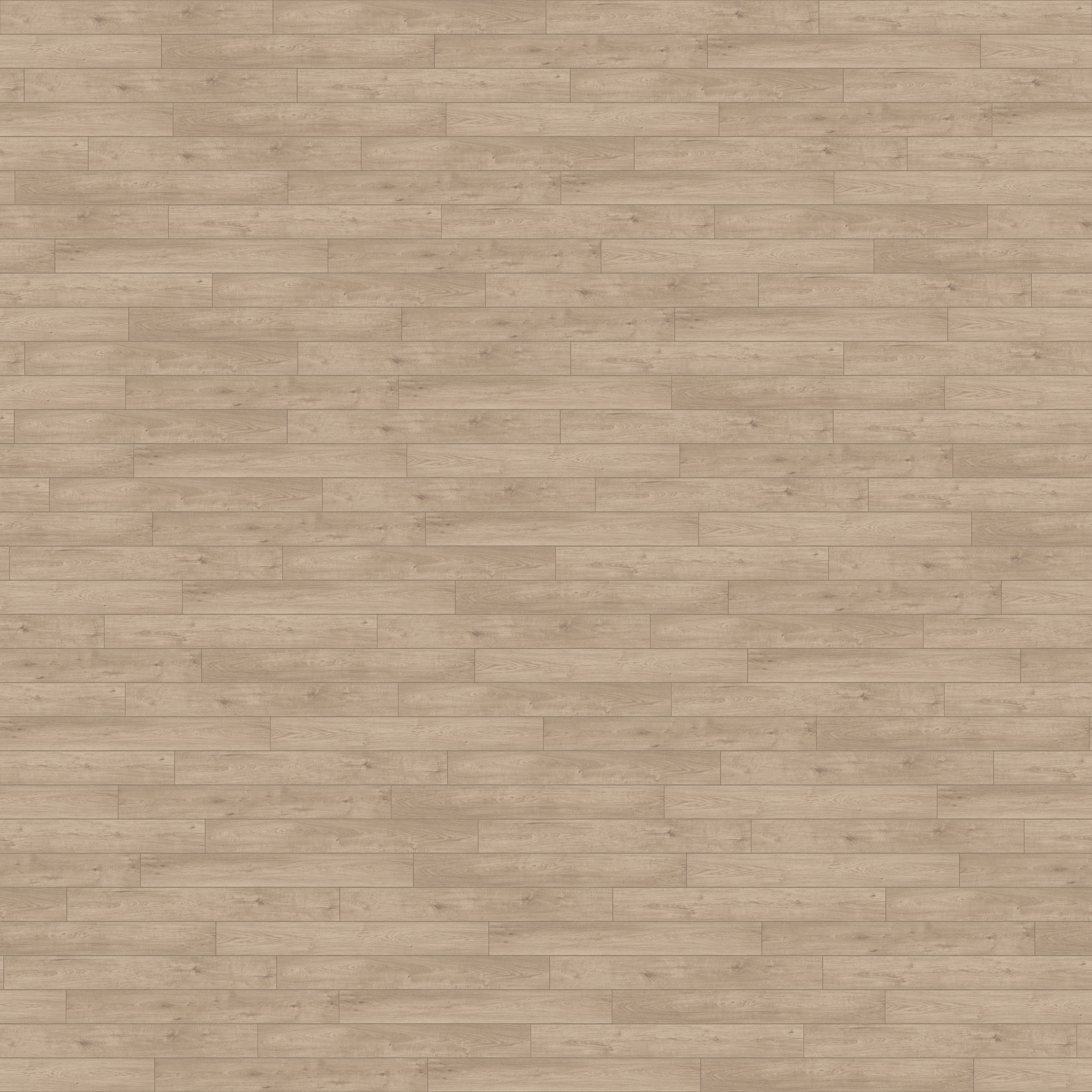 folder image