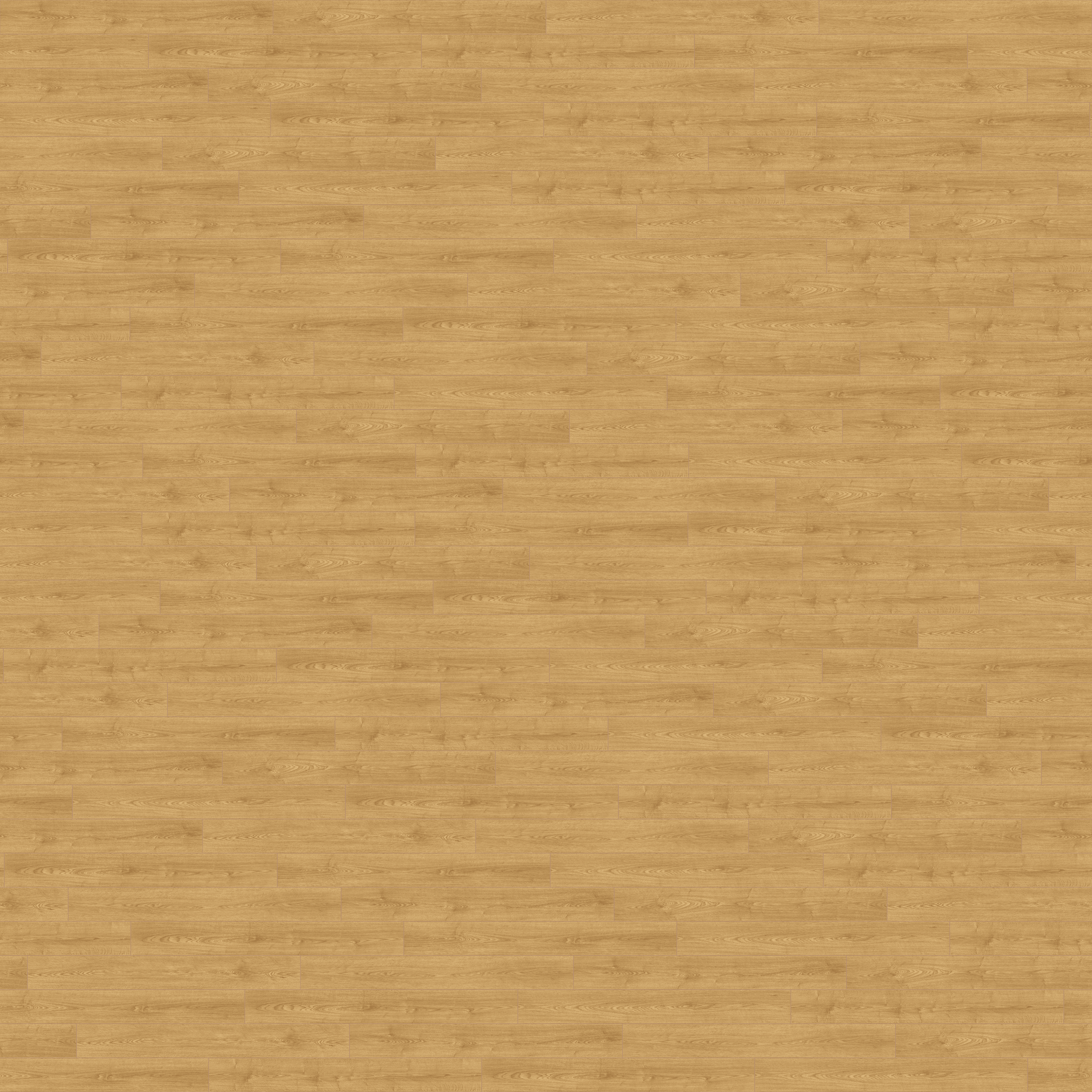 folder image