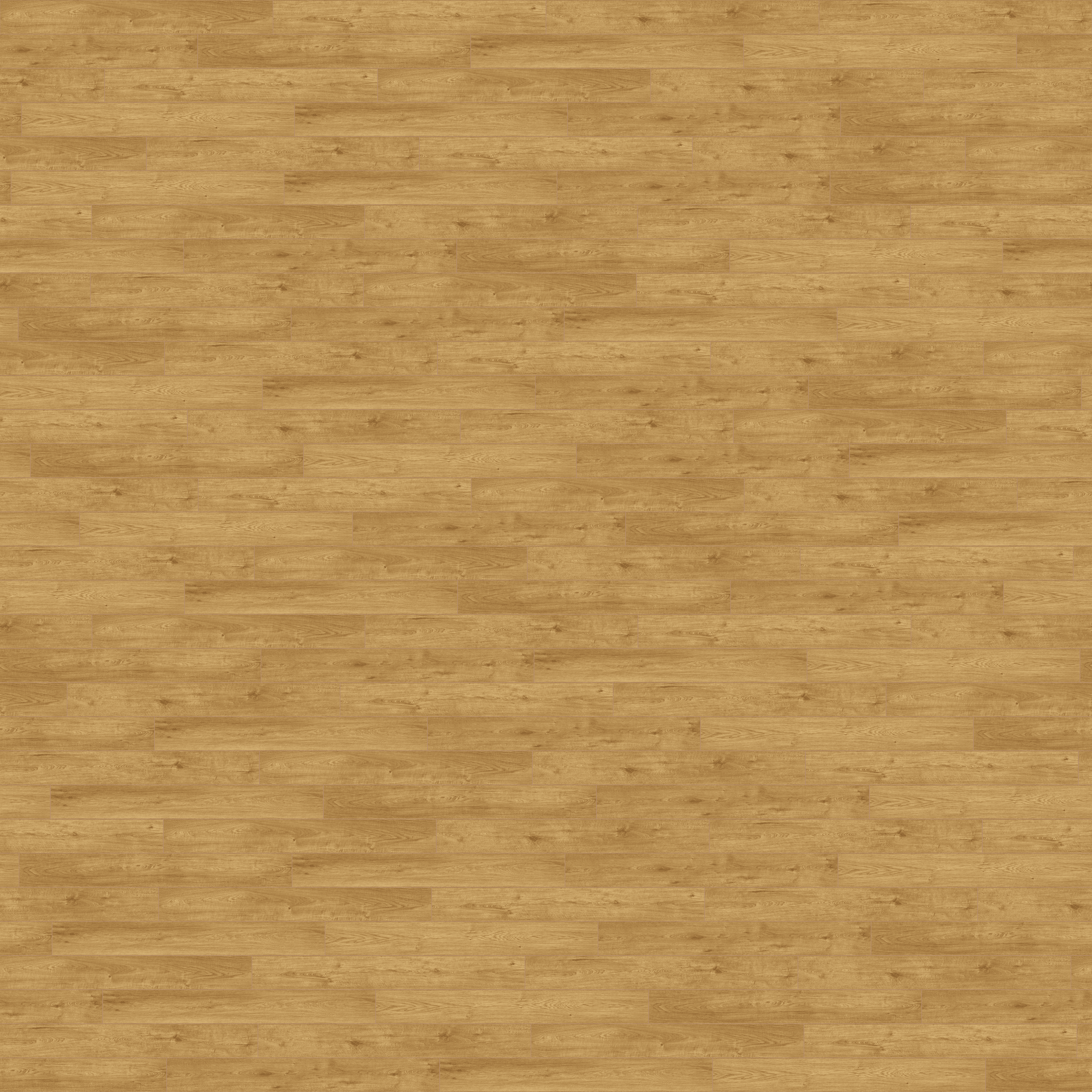 folder image