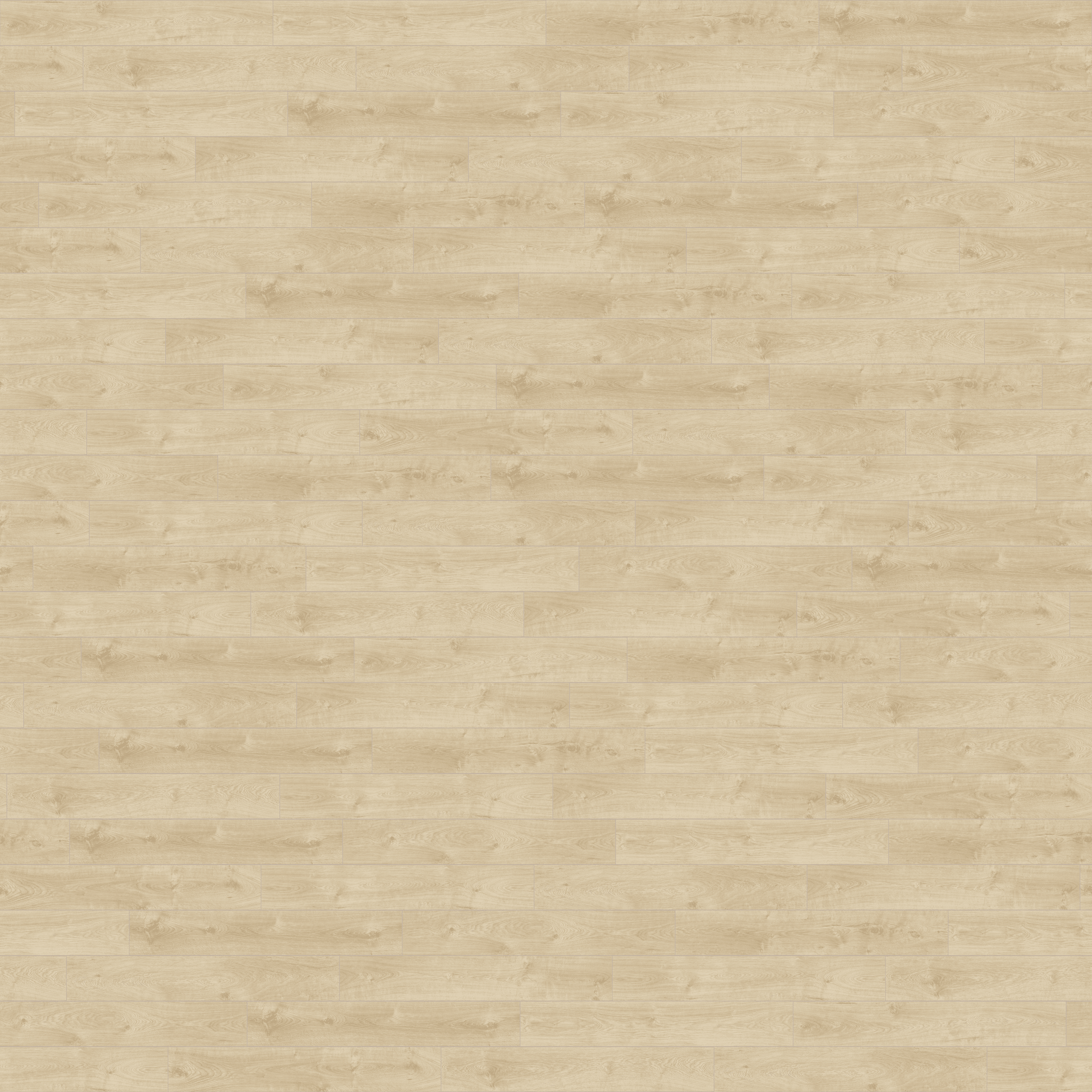 folder image