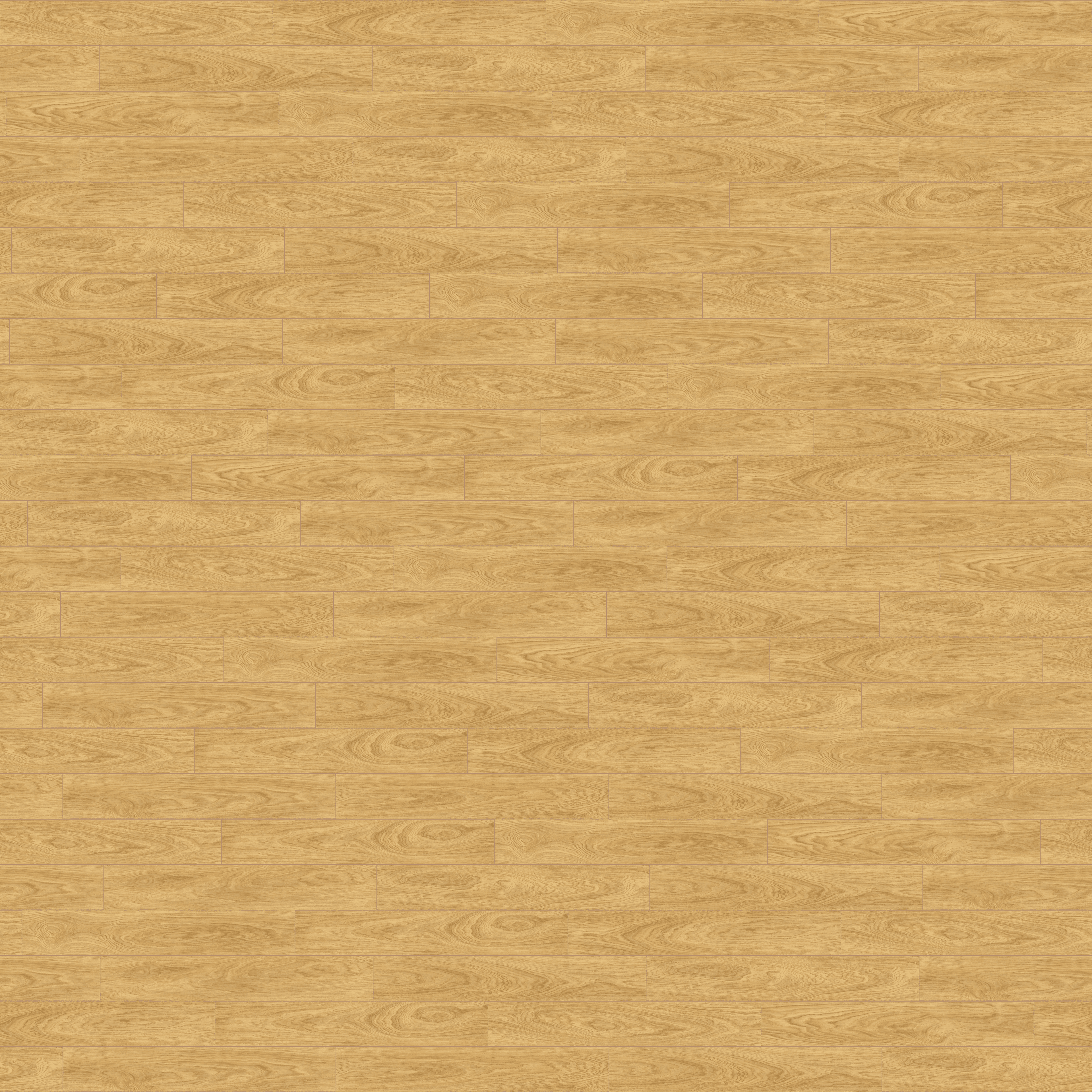 folder image