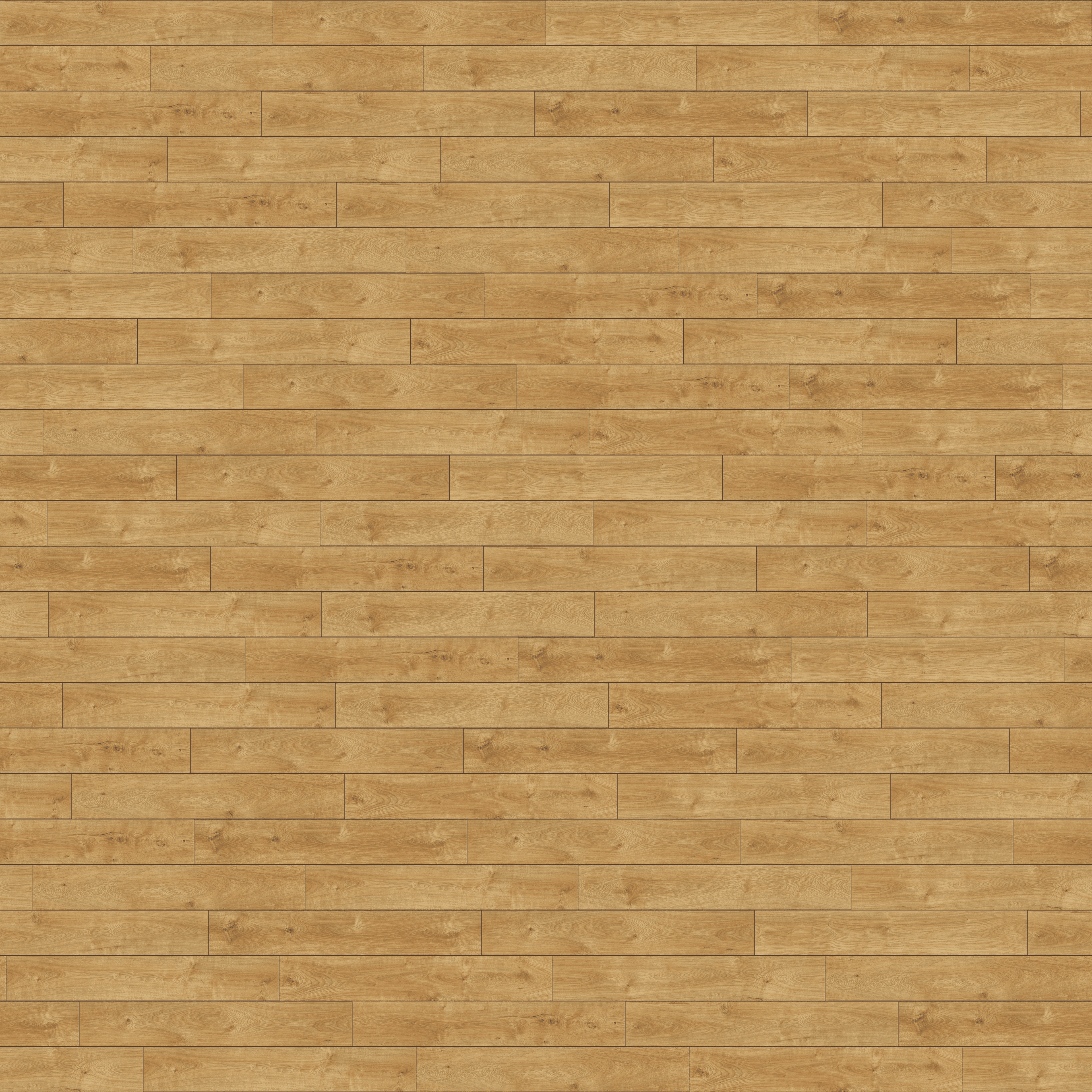 folder image