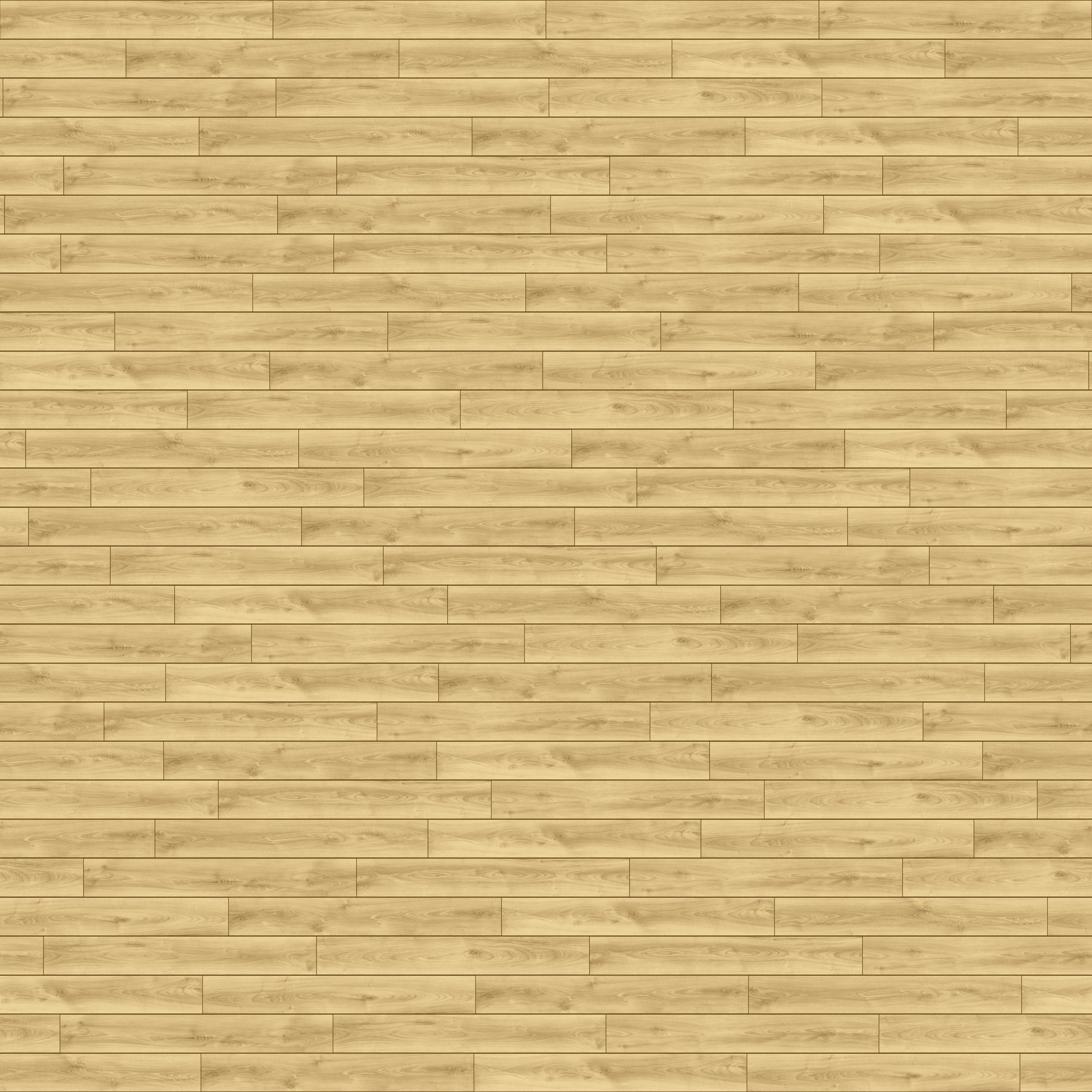 folder image