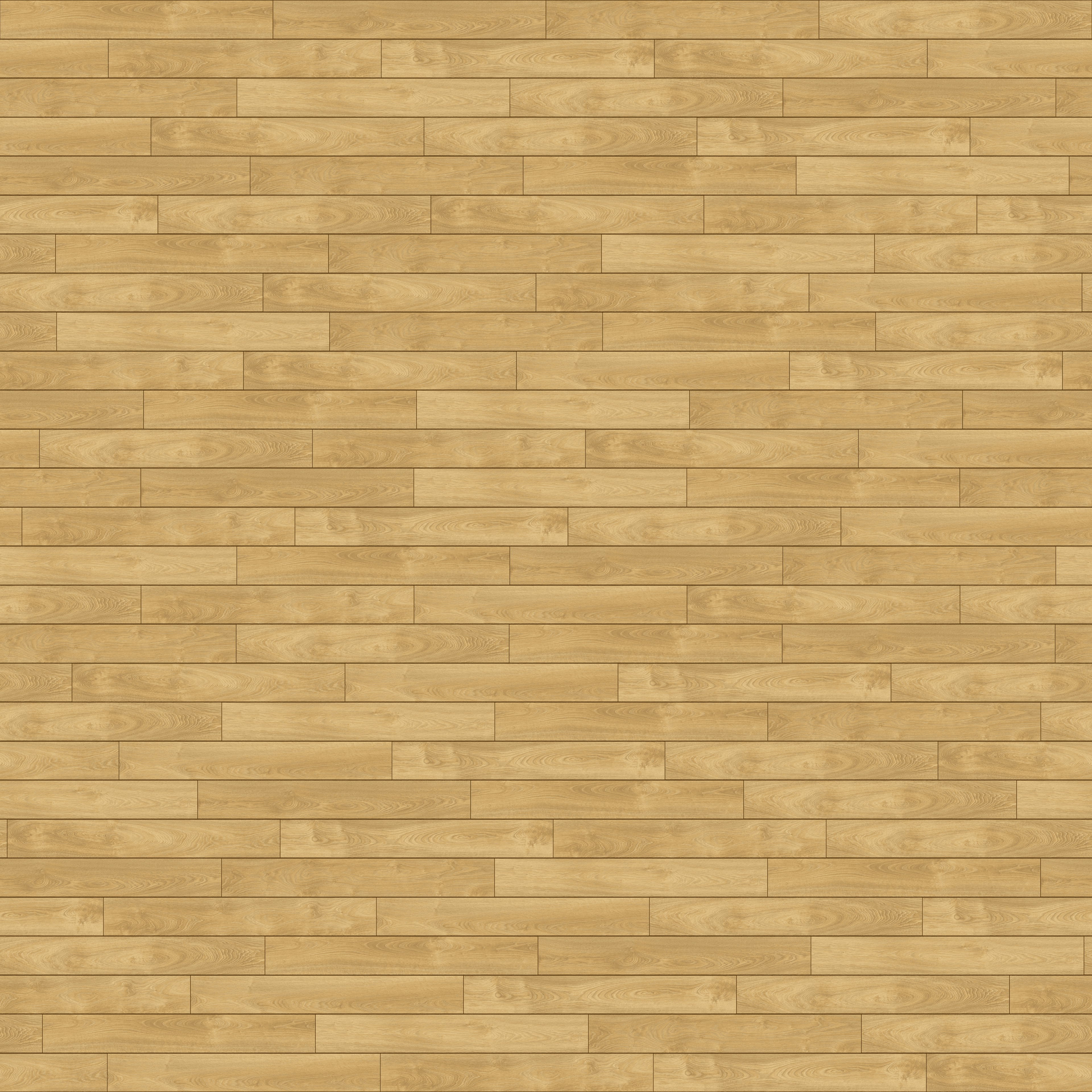 folder image