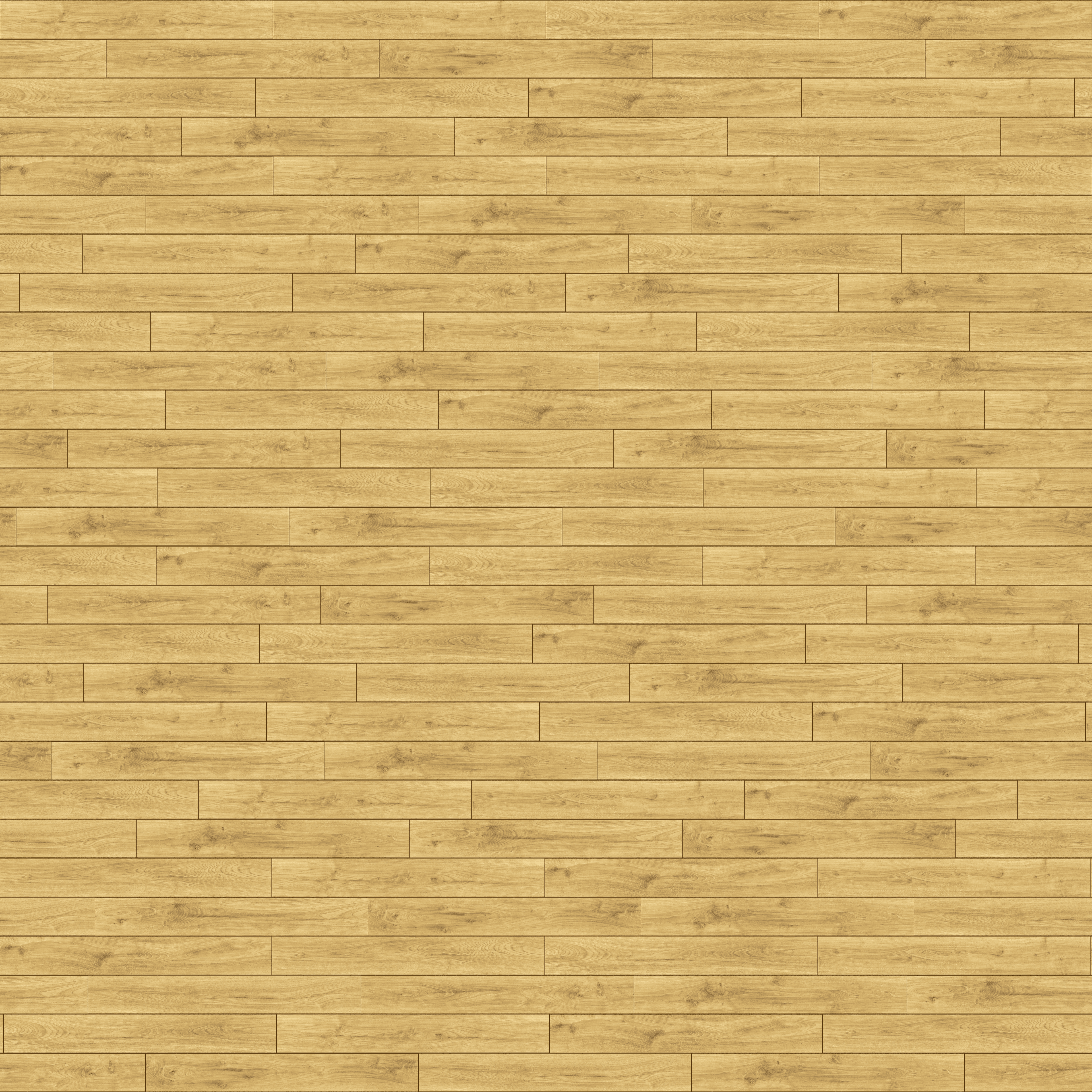 folder image