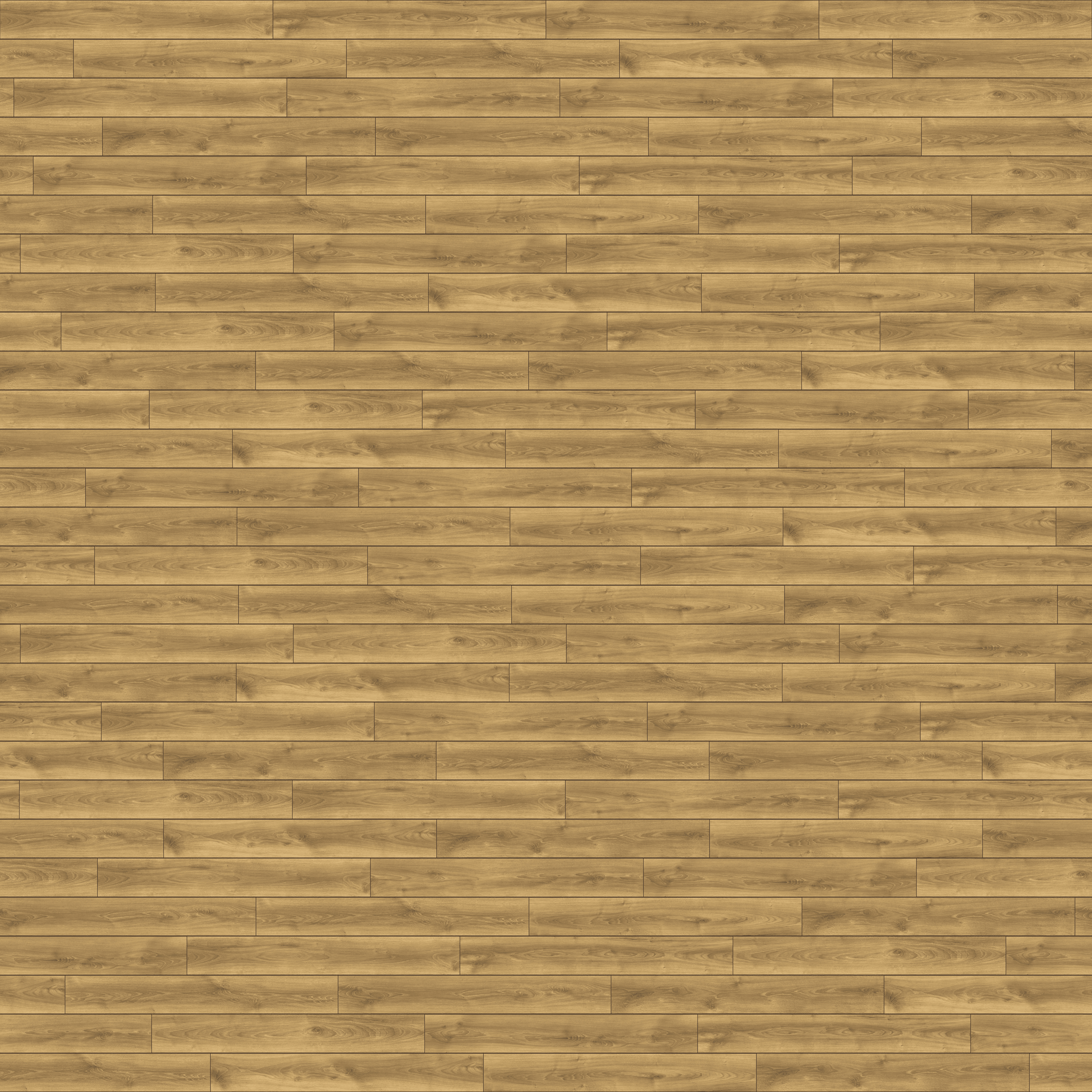 folder image