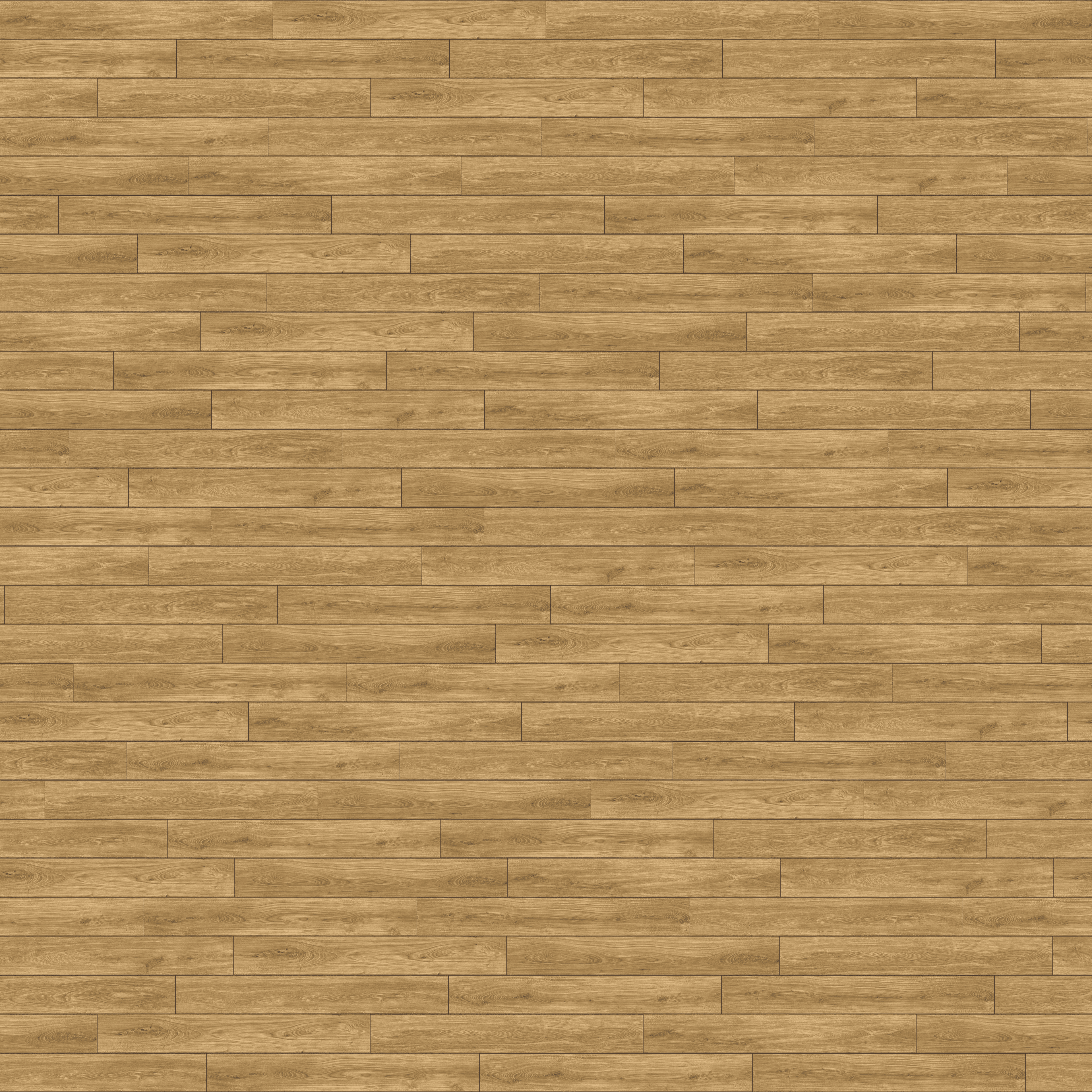 folder image