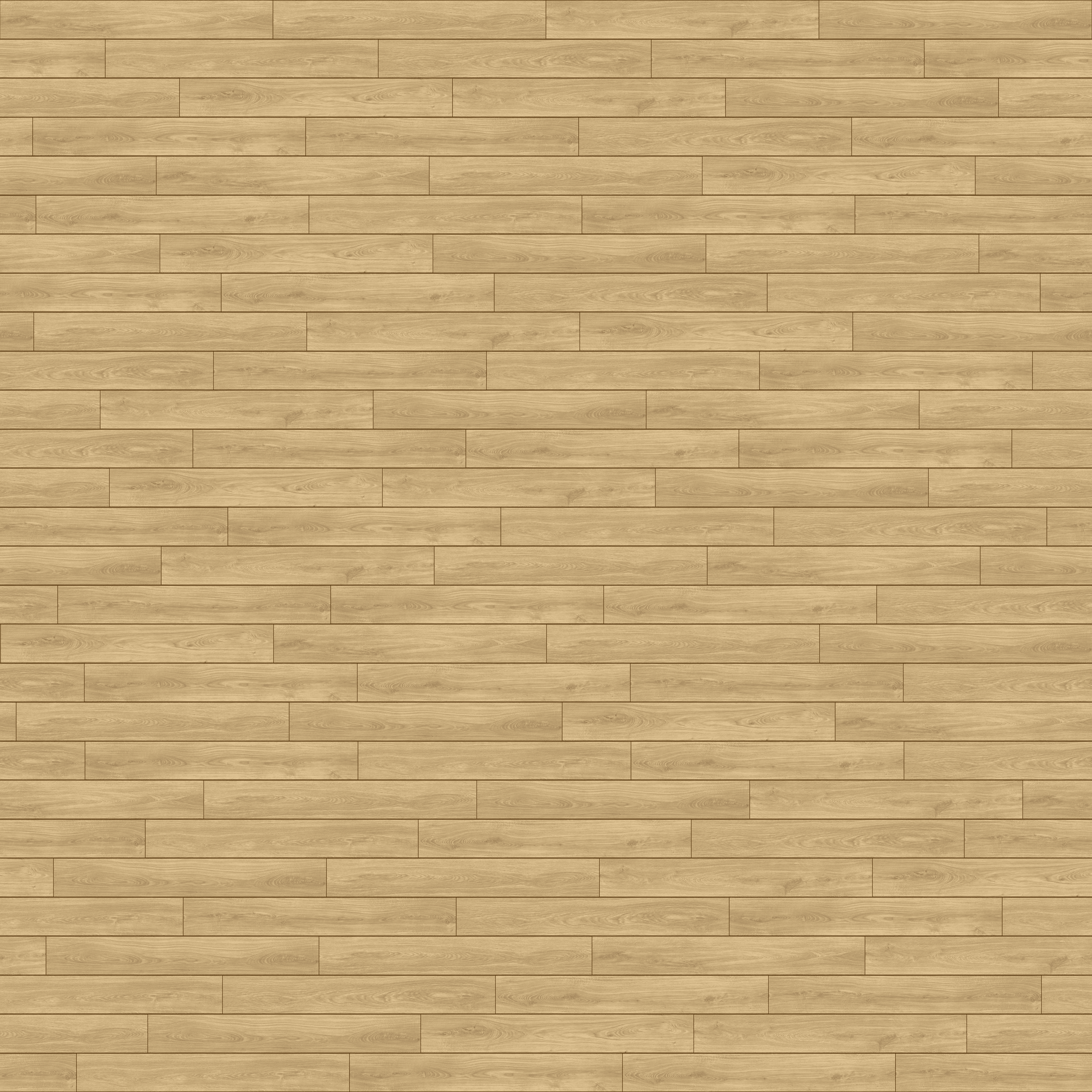 folder image