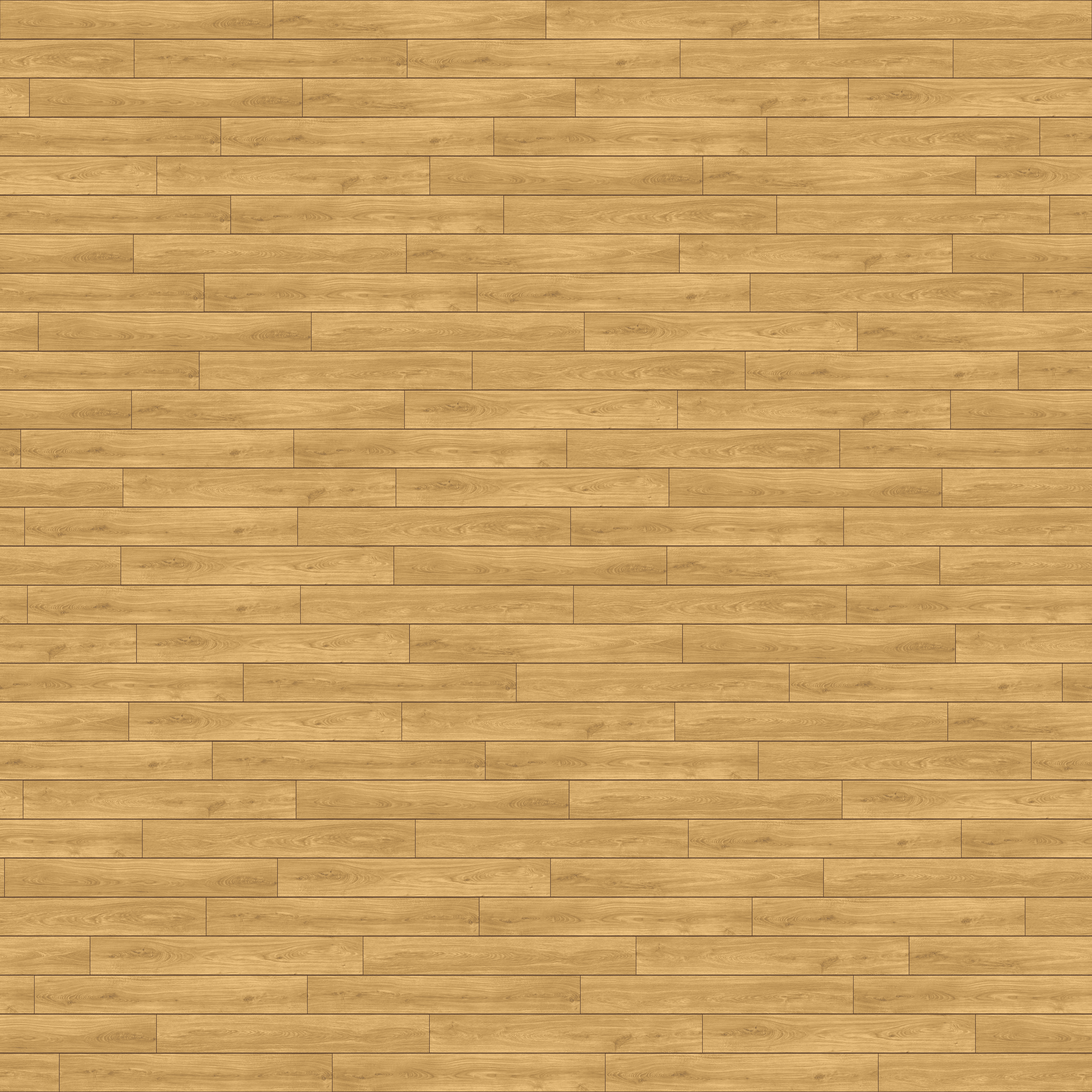 folder image