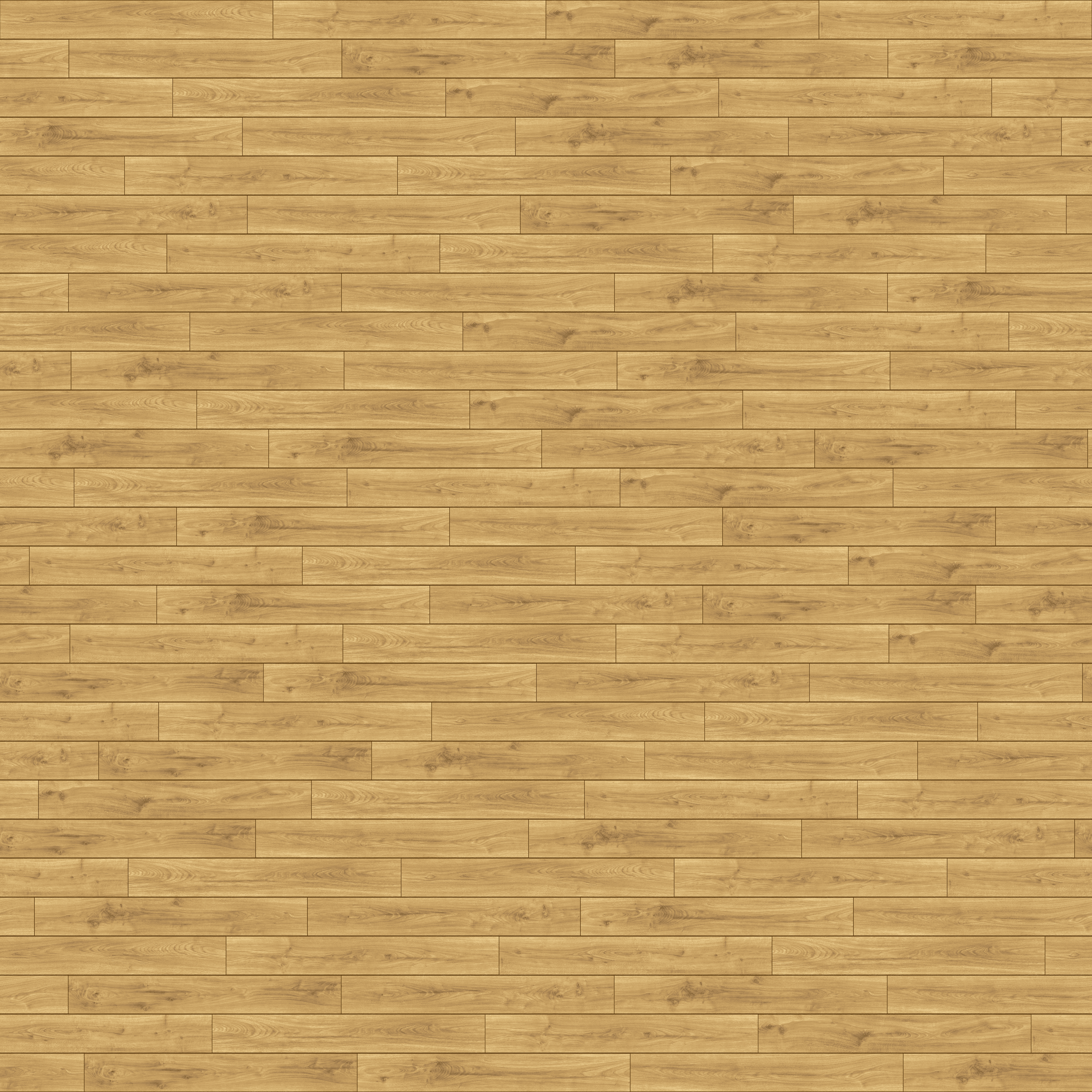 folder image