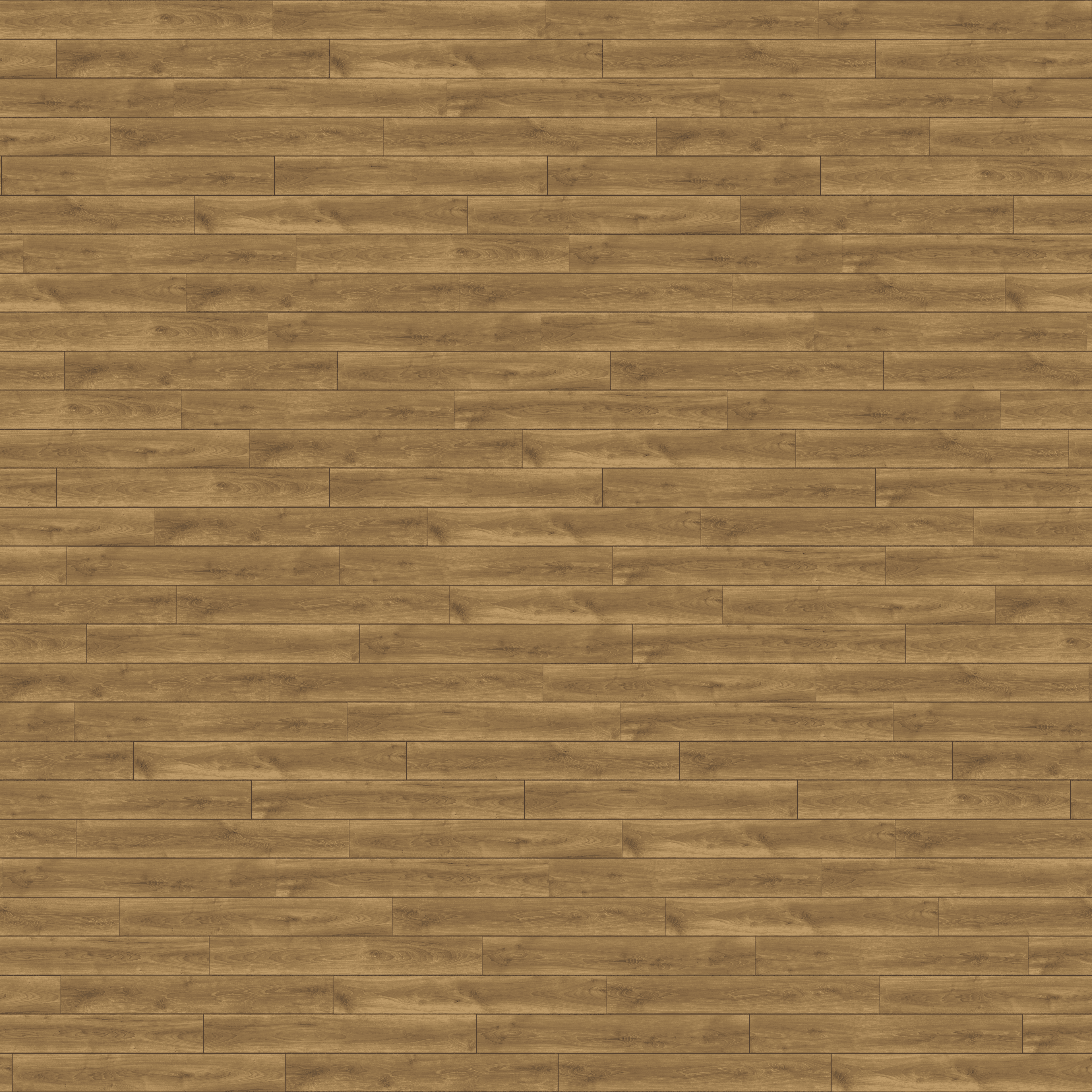 folder image