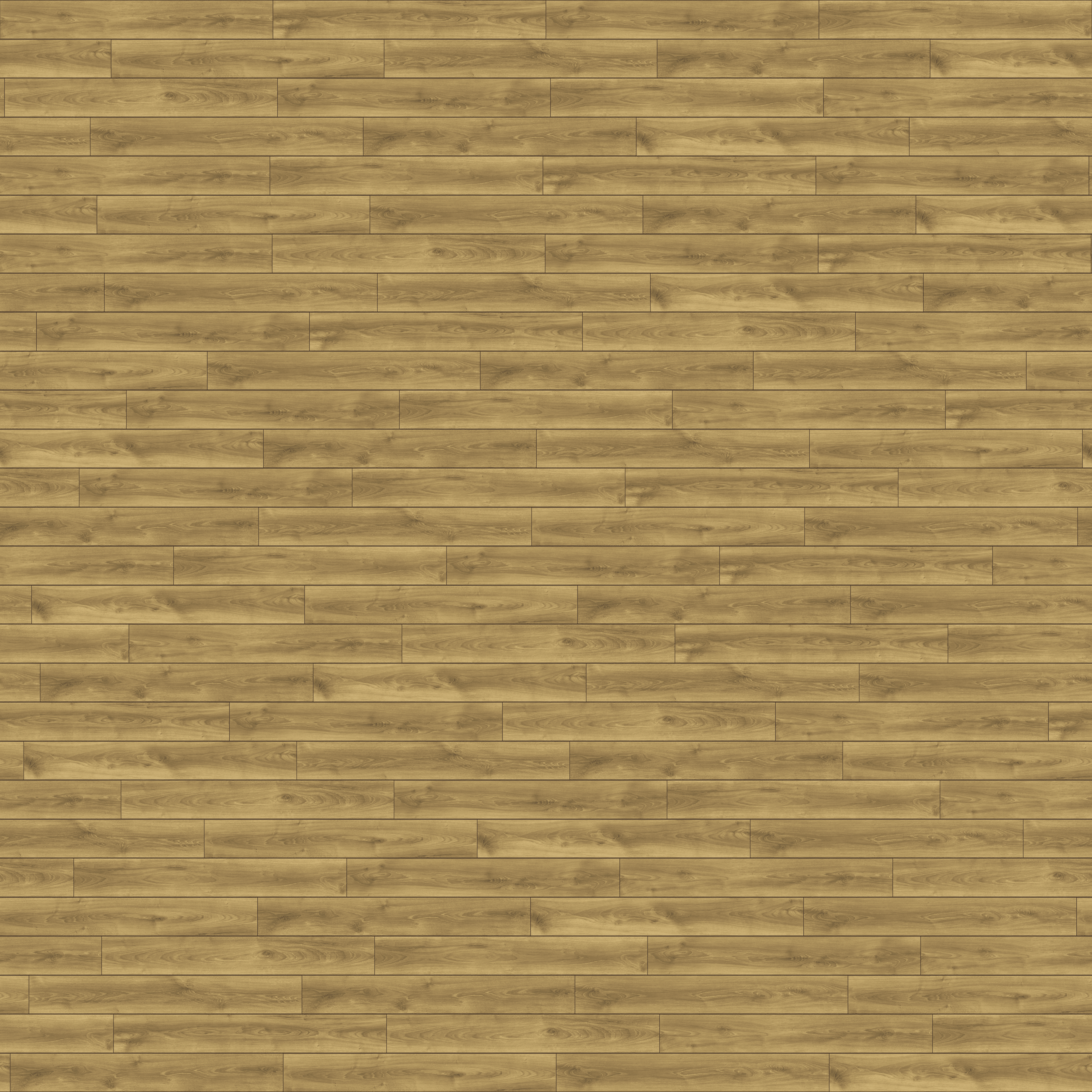 folder image