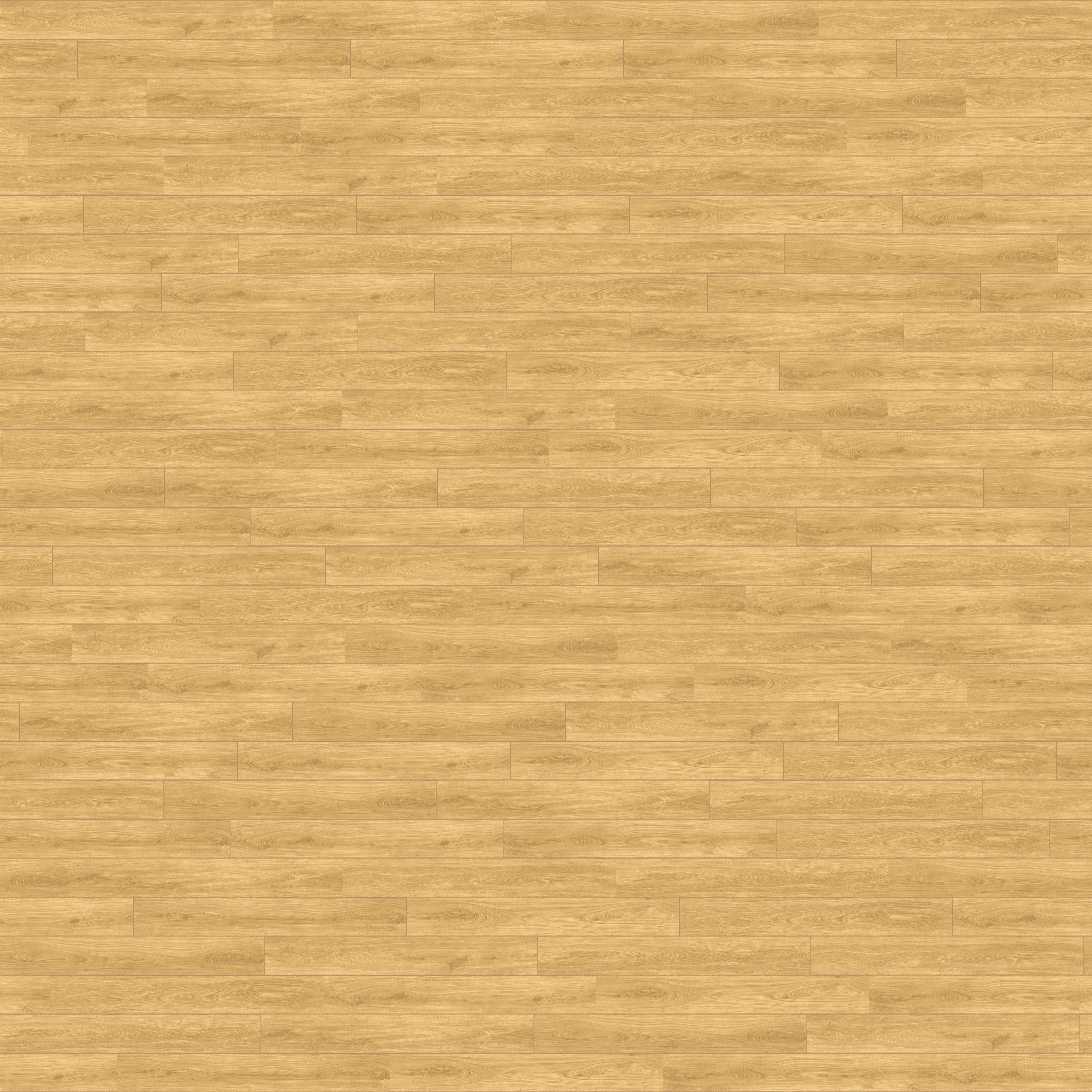 folder image
