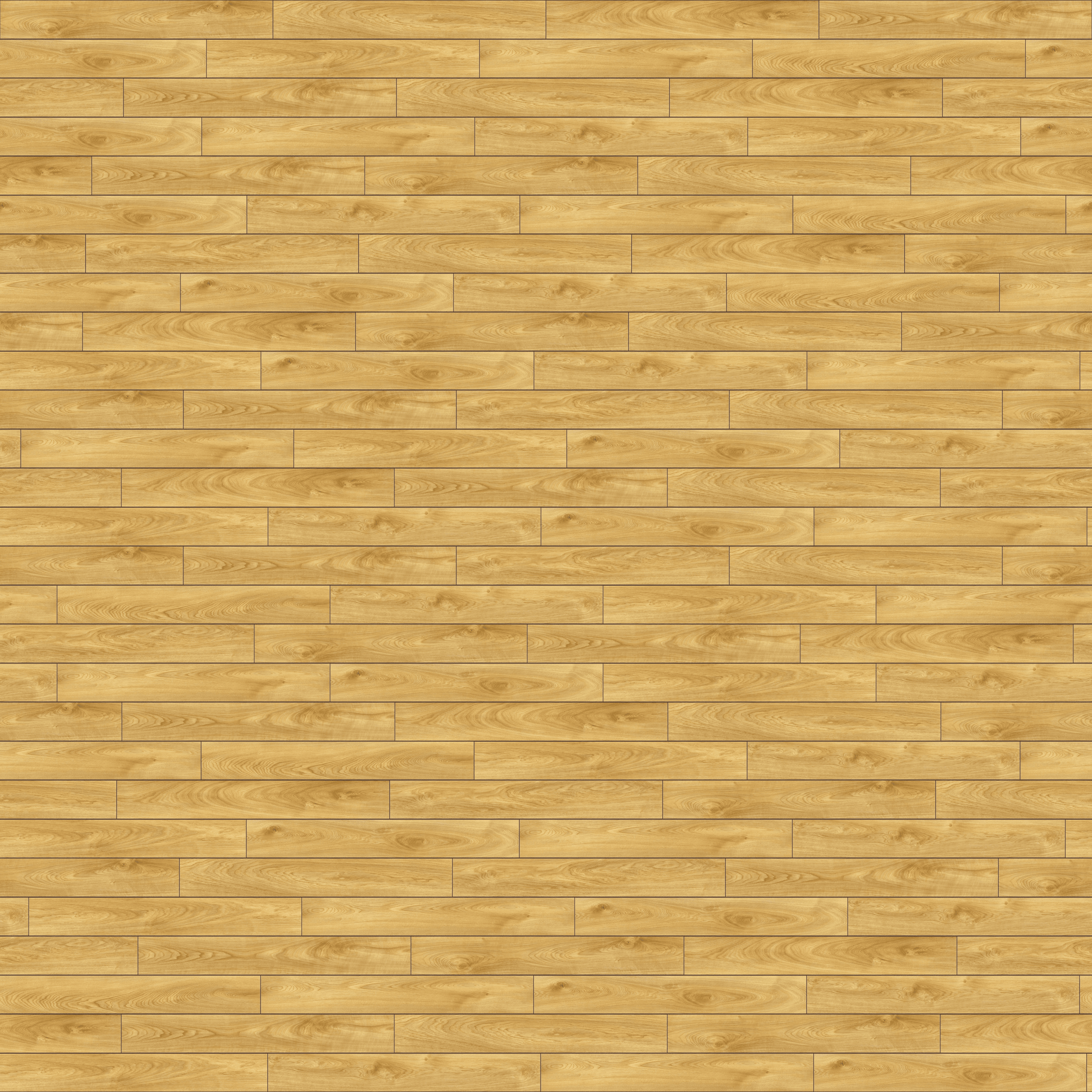 folder image