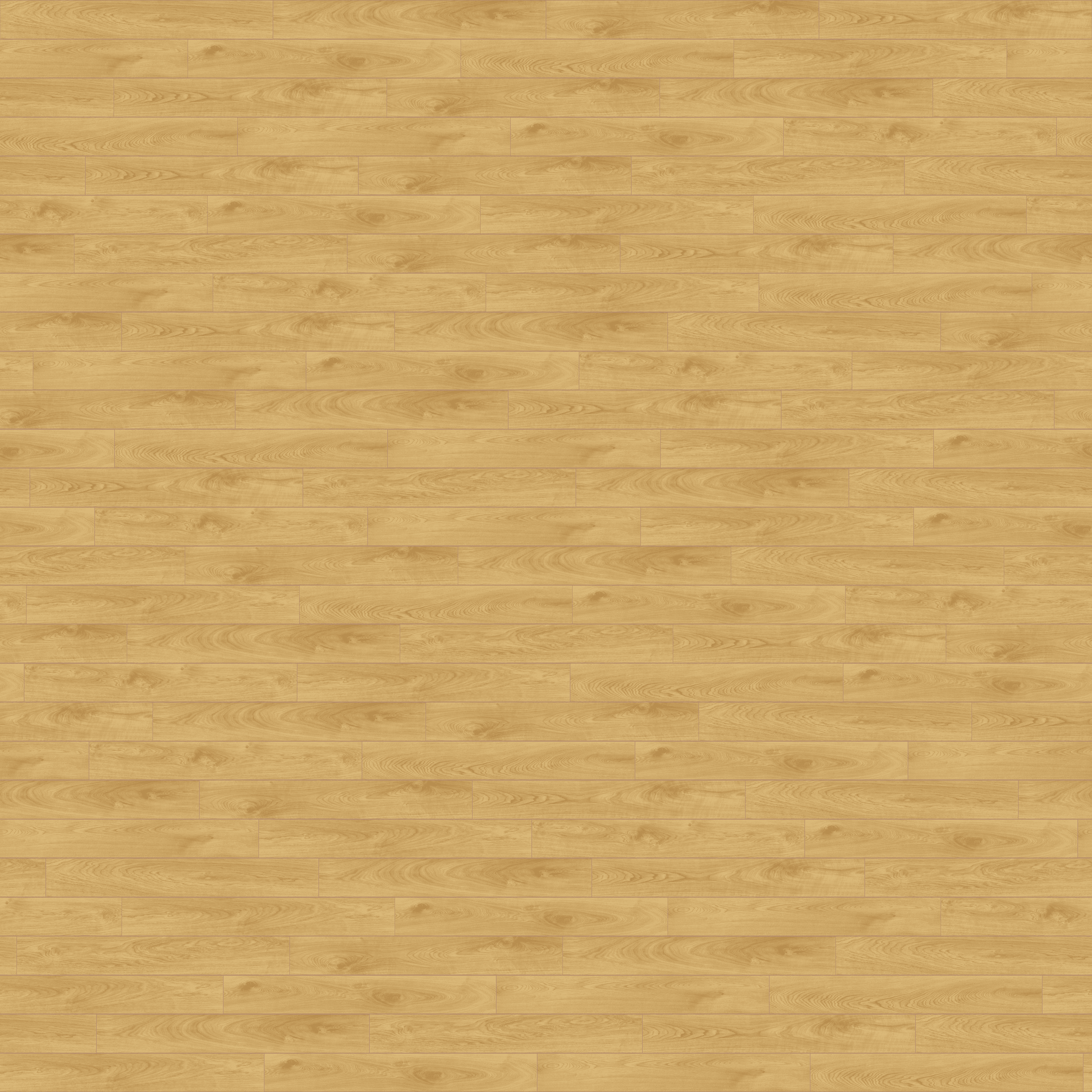 folder image