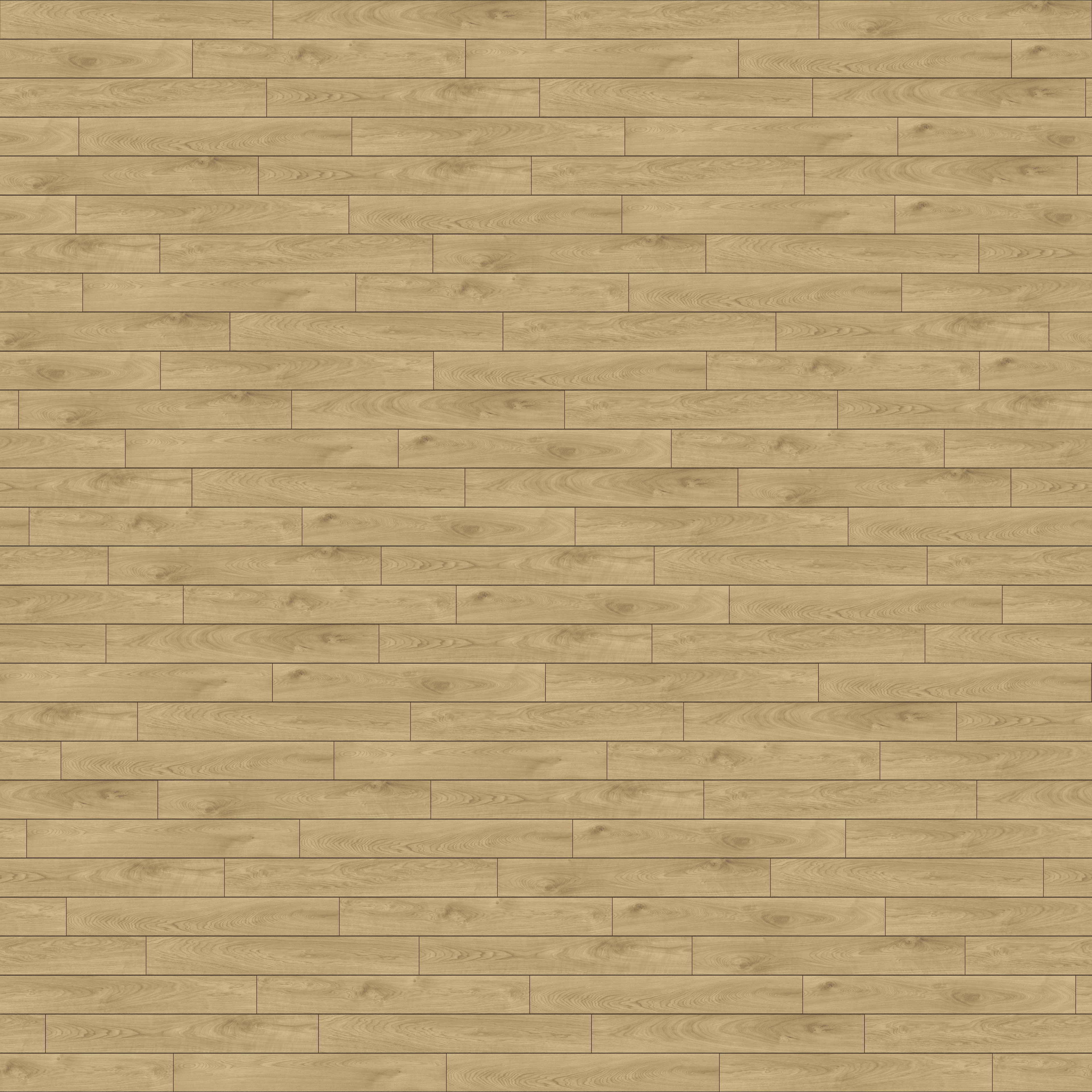 folder image