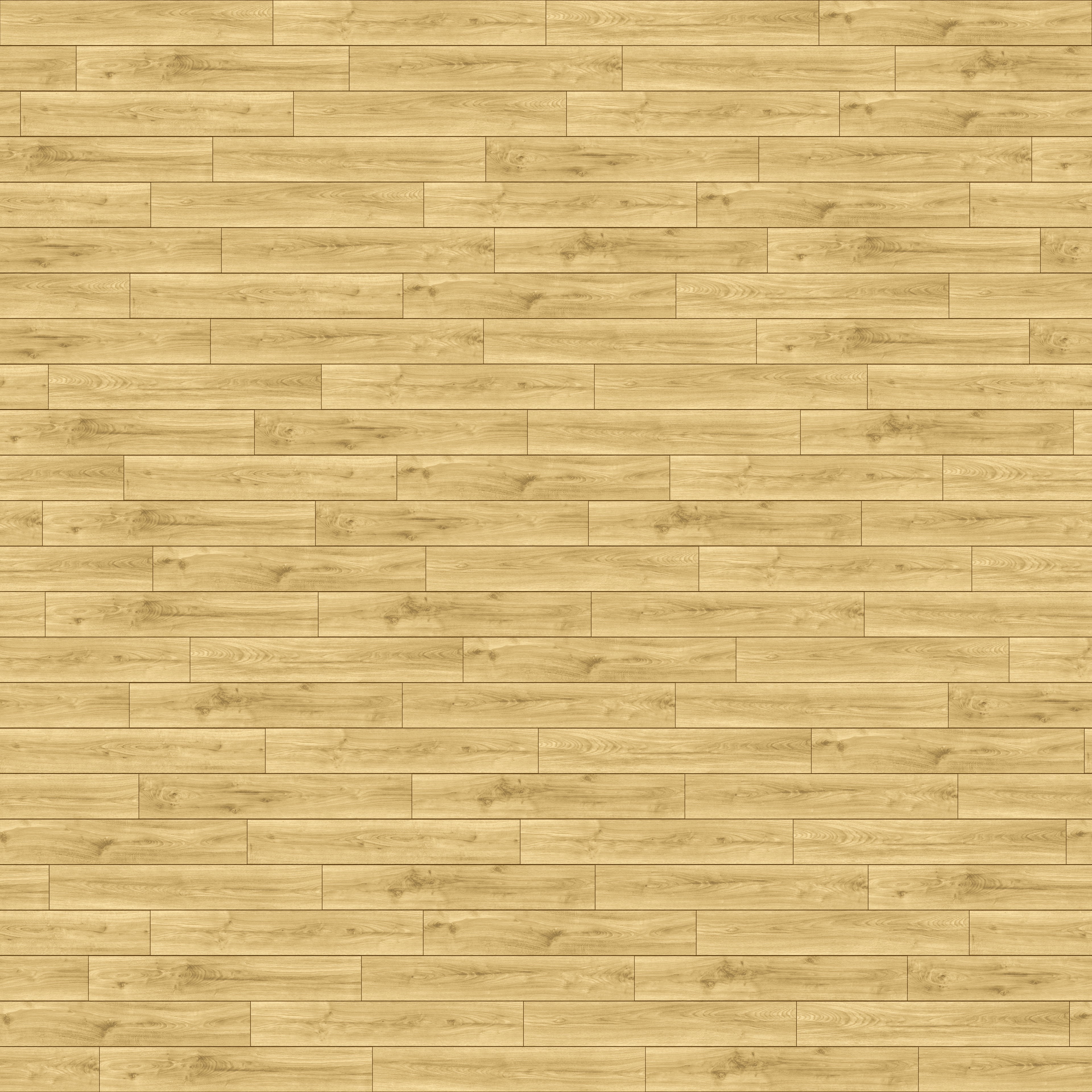 D40594_3D_DabCarissa