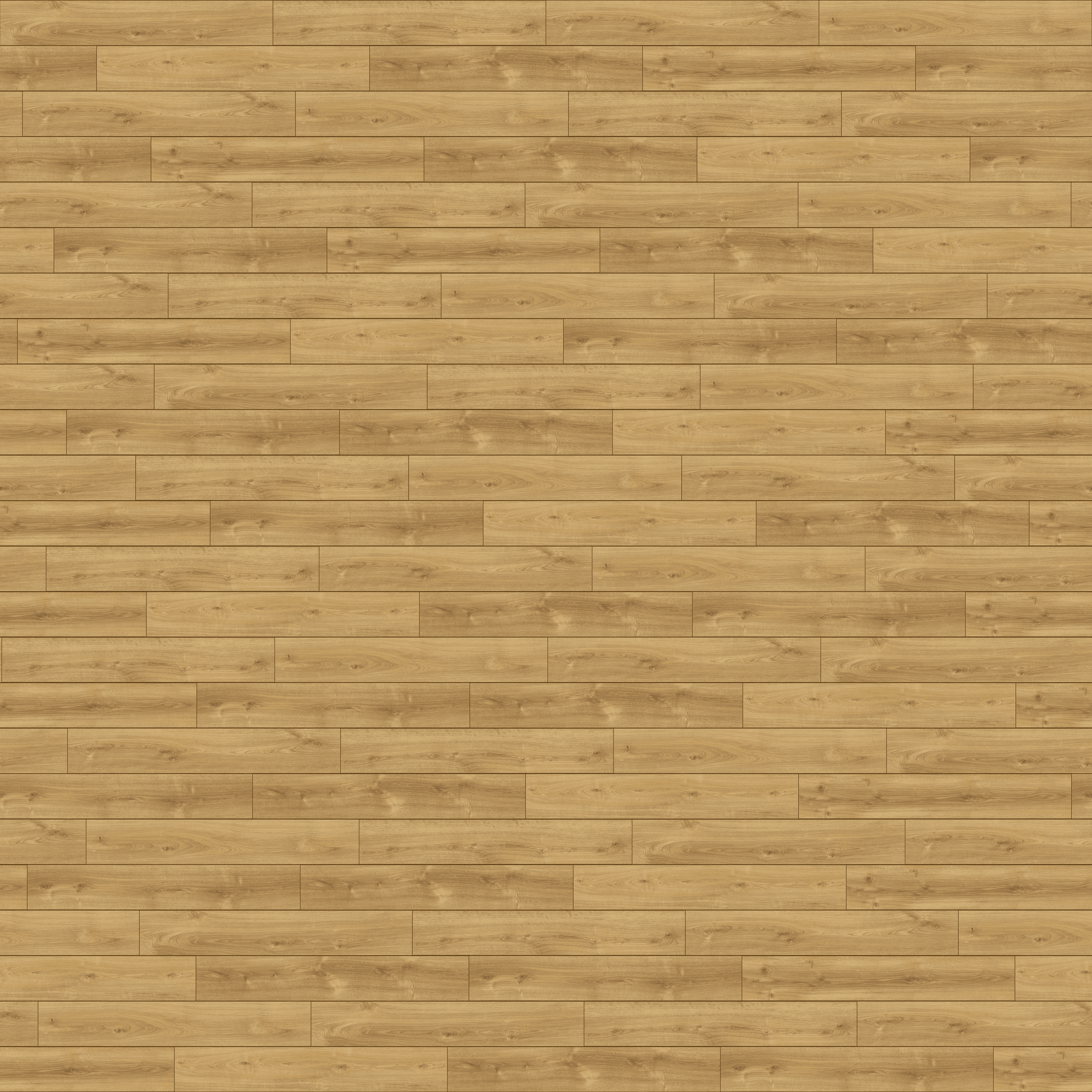 D40164_3D_DabTajlandia