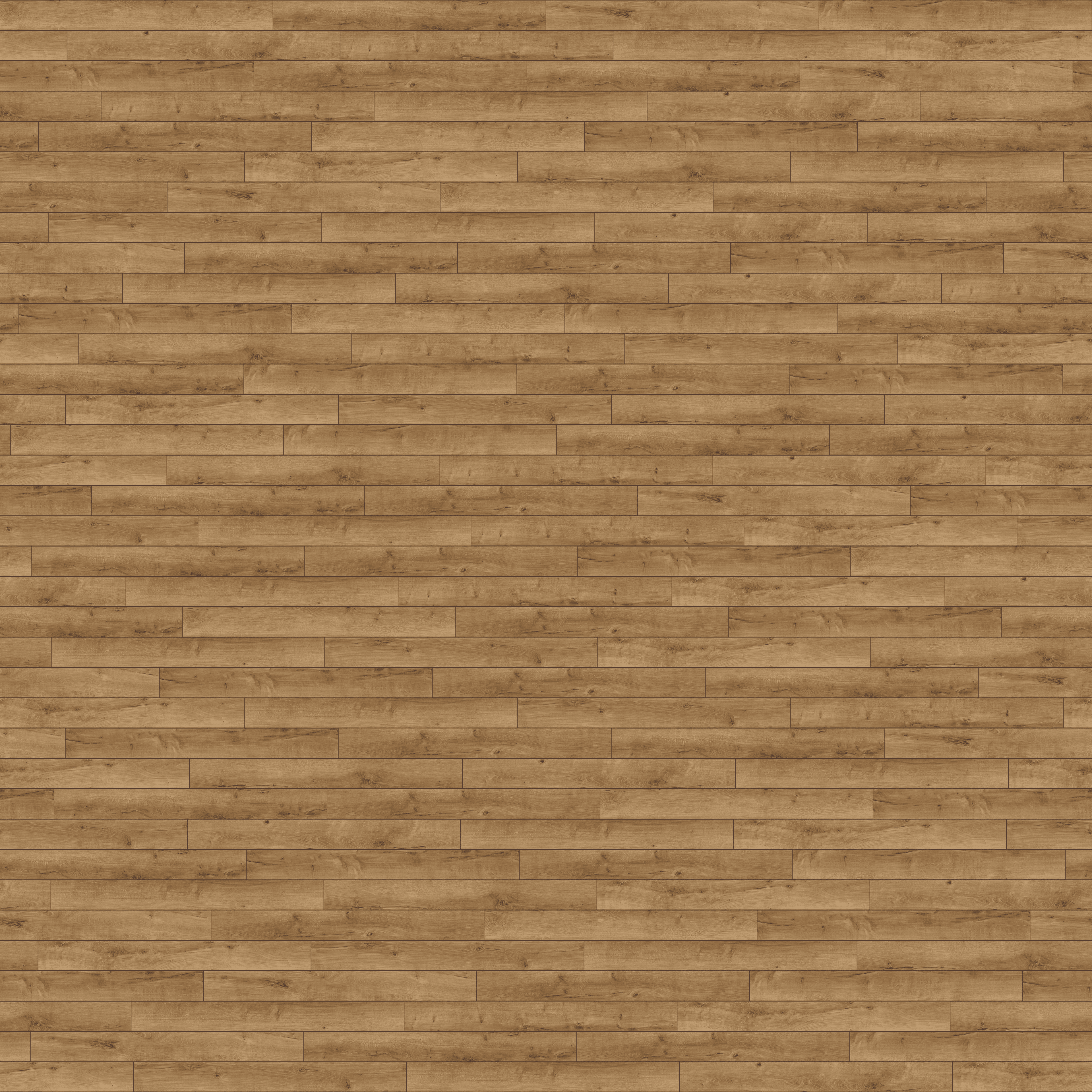 folder image
