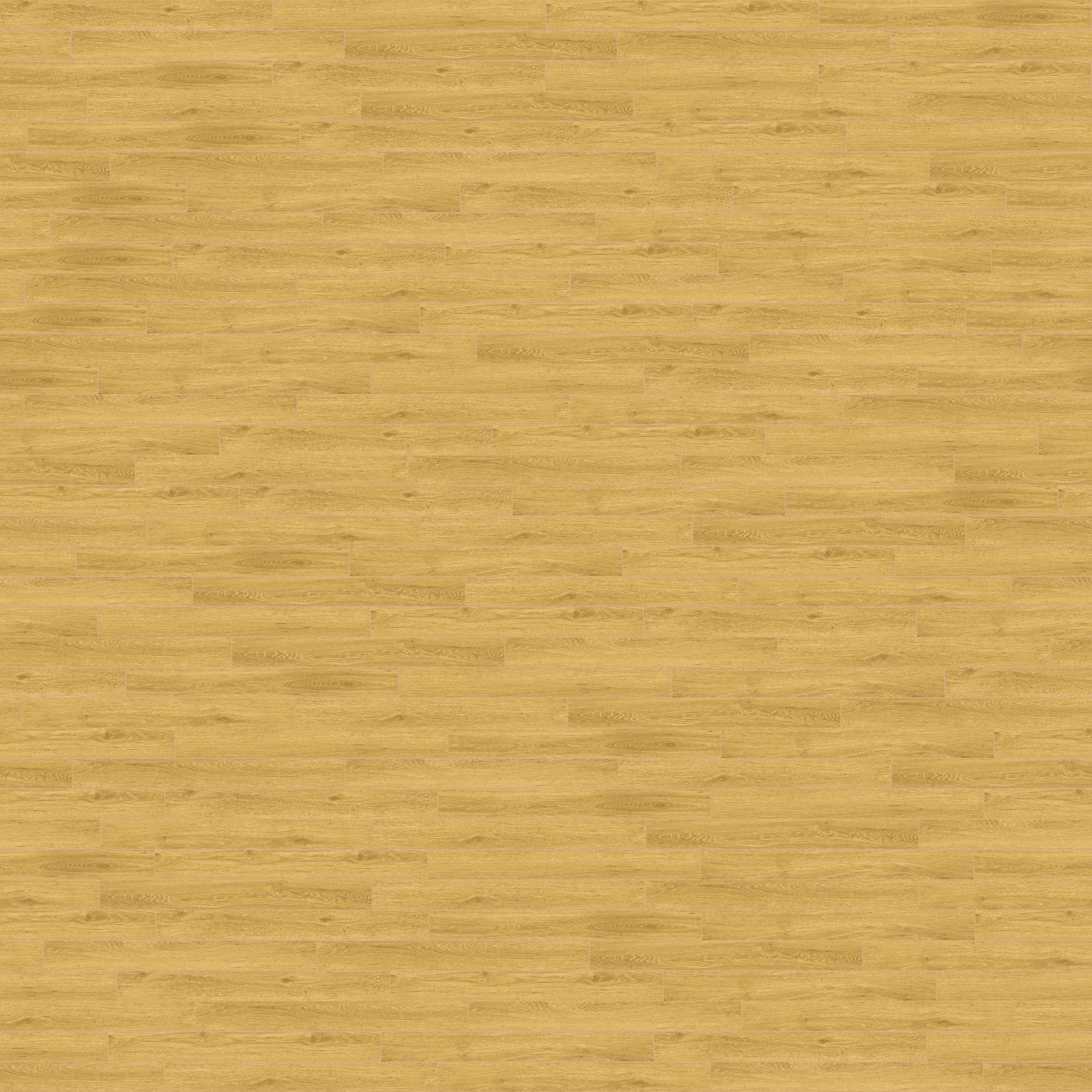 folder image