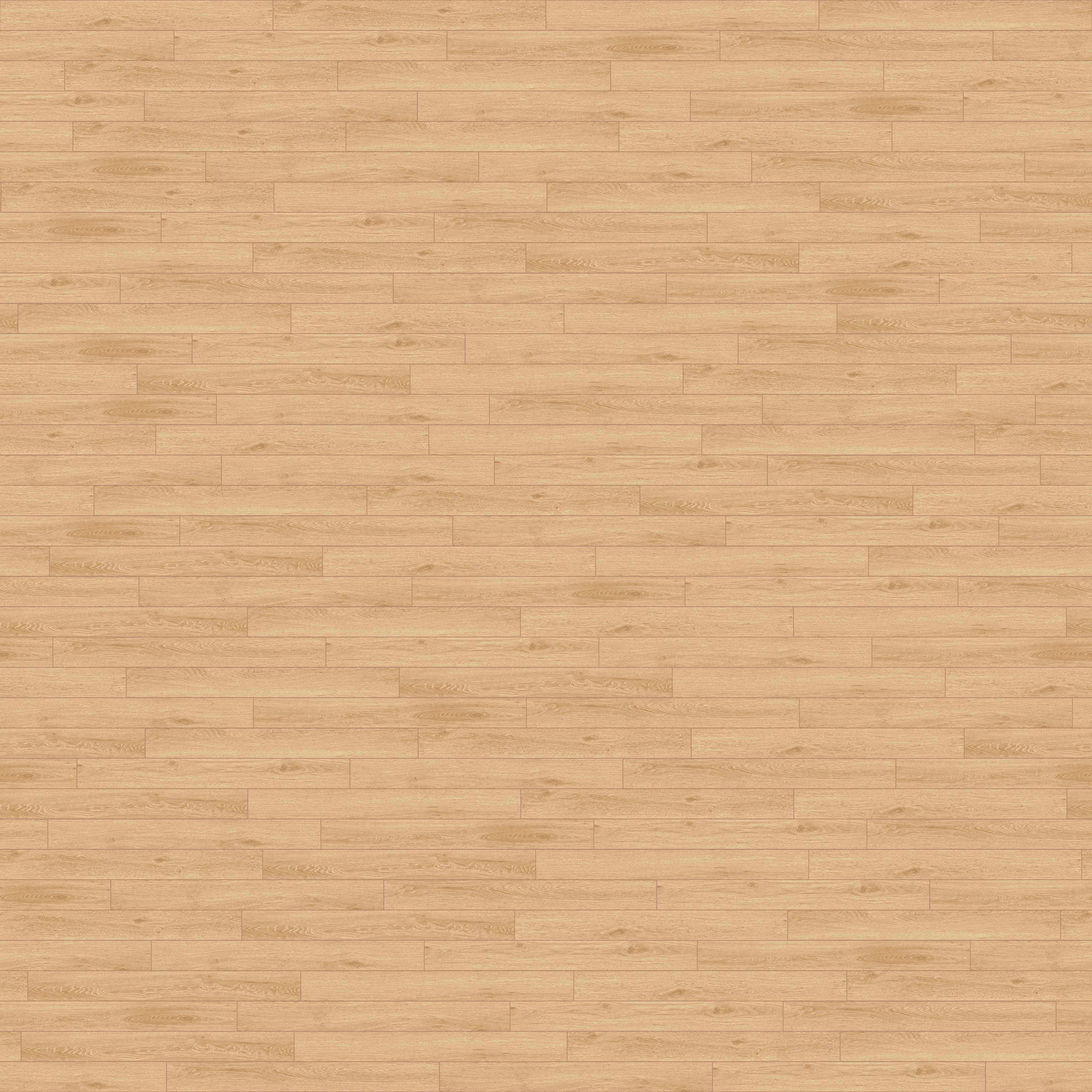folder image