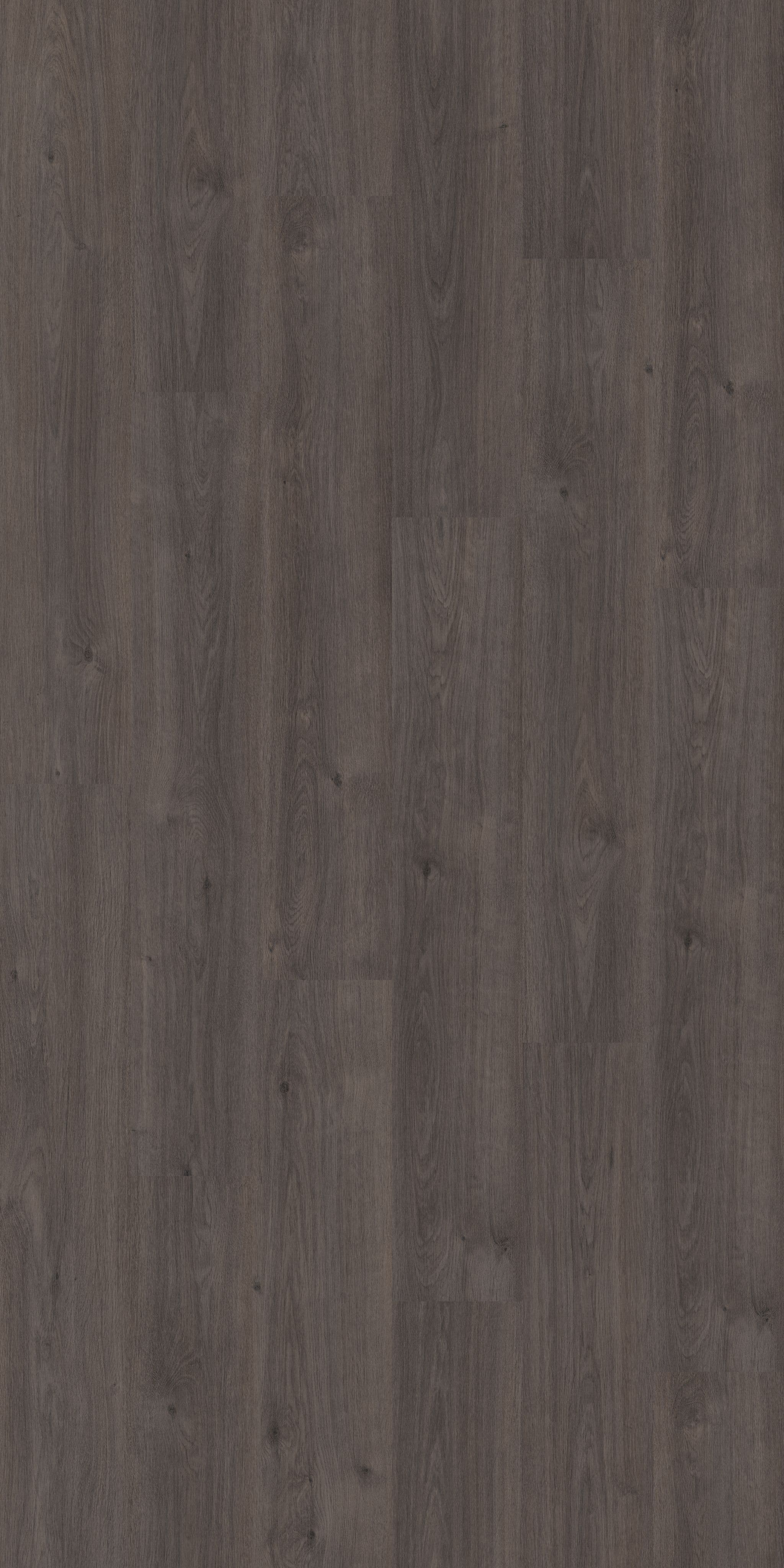wineo PURLINE 1500 wood L flooring | for gluing