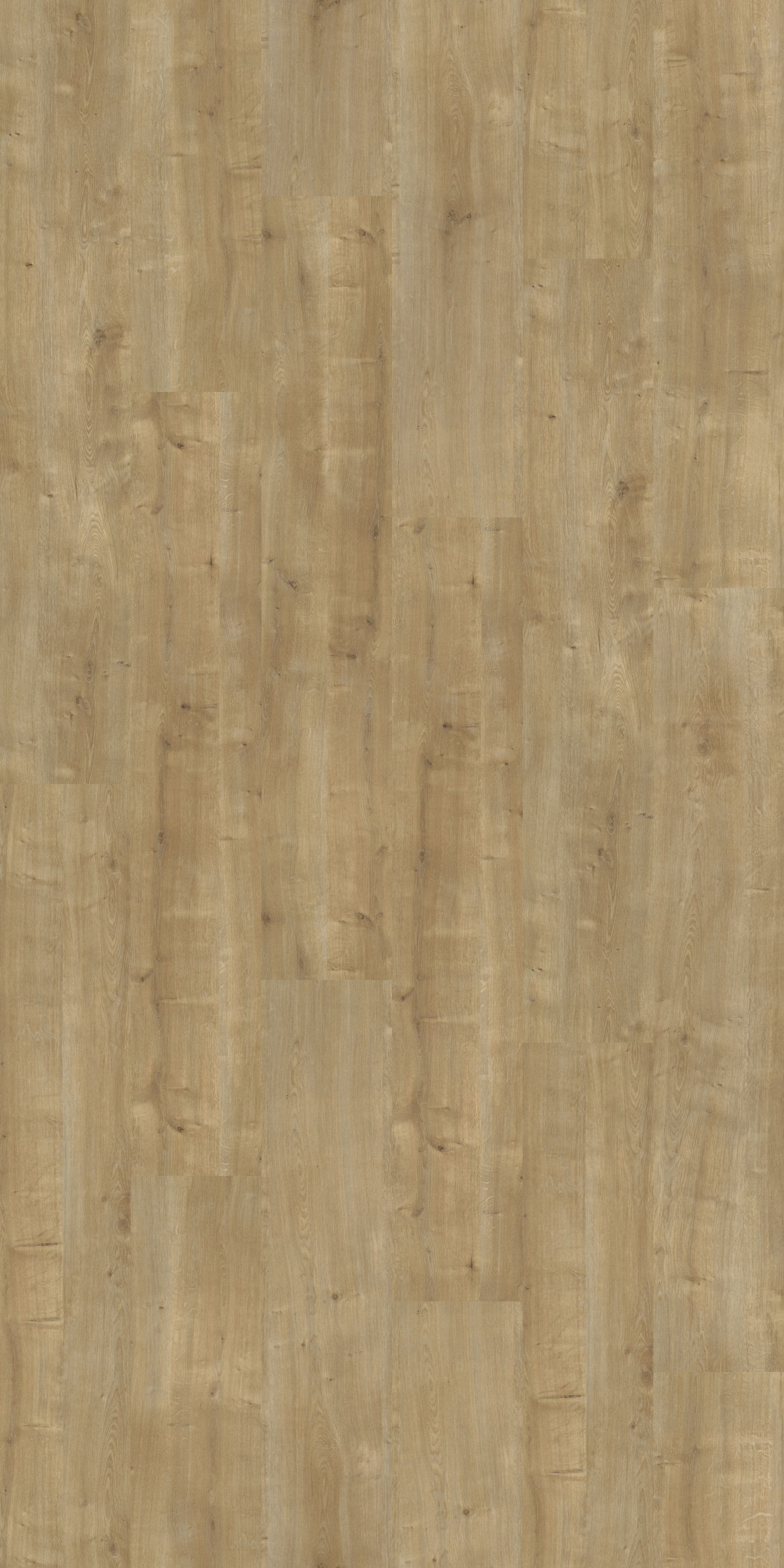 wineo PURLINE 1500 wood XL flooring | for gluing