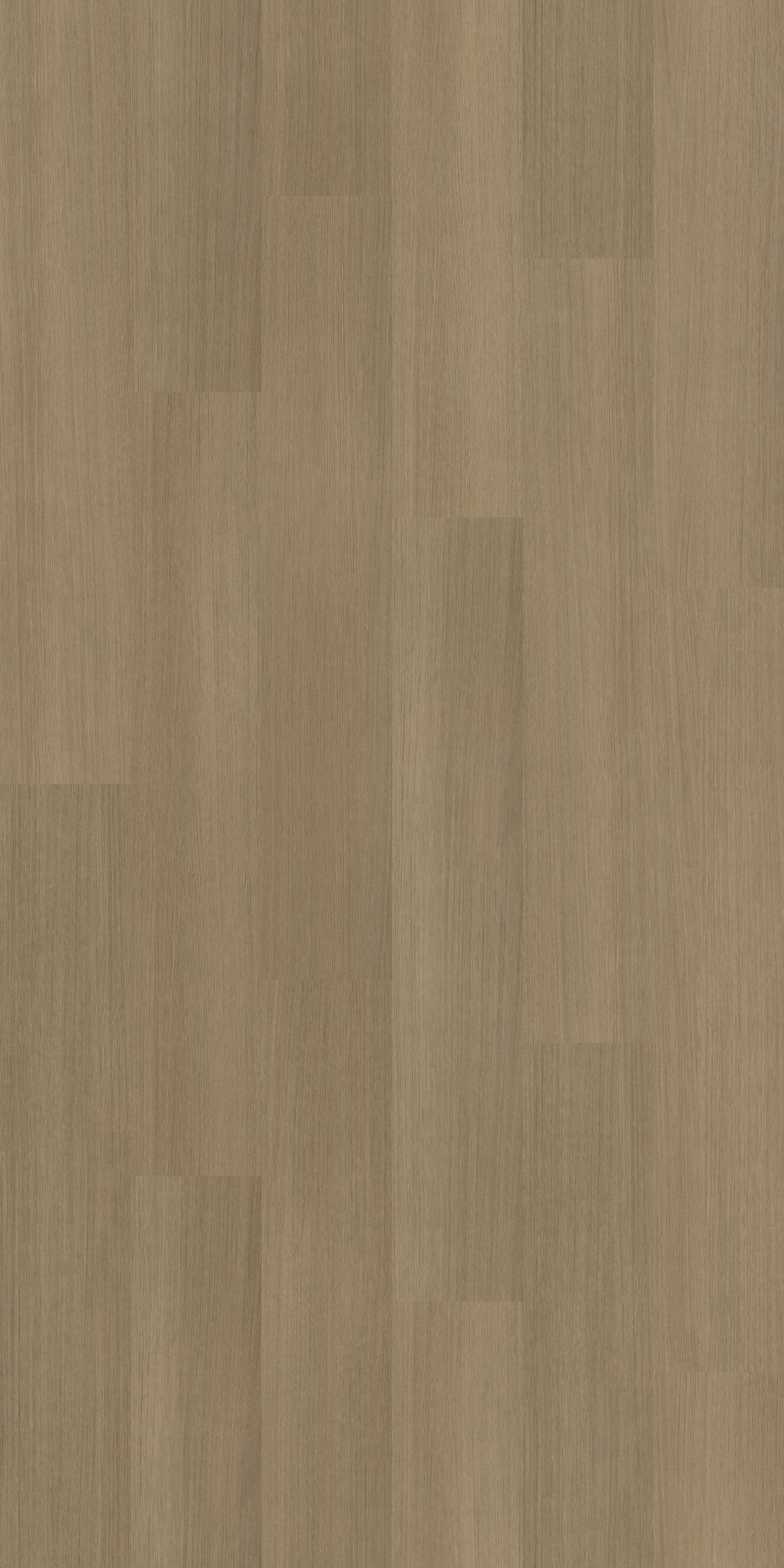 folder image