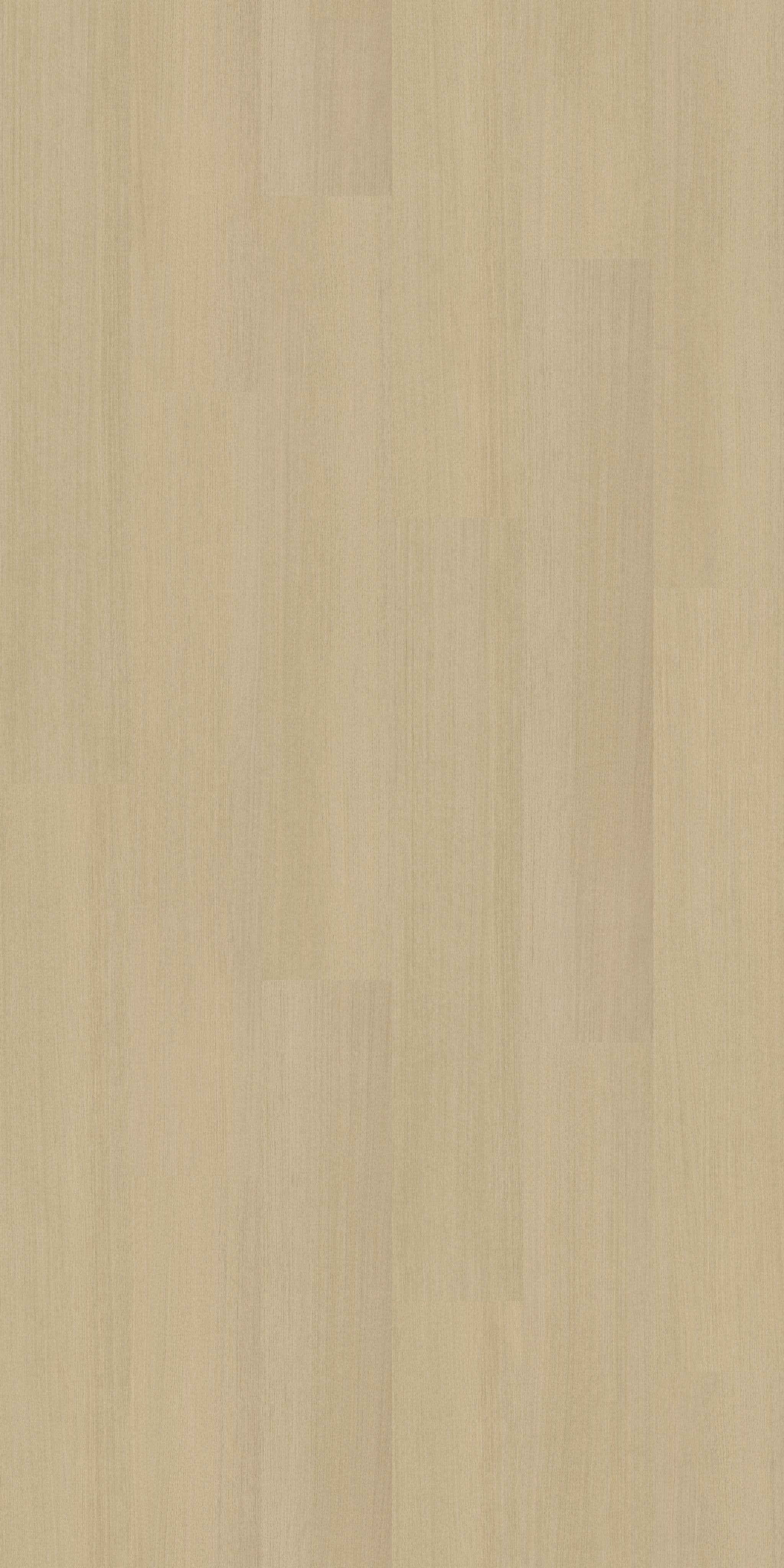 folder image