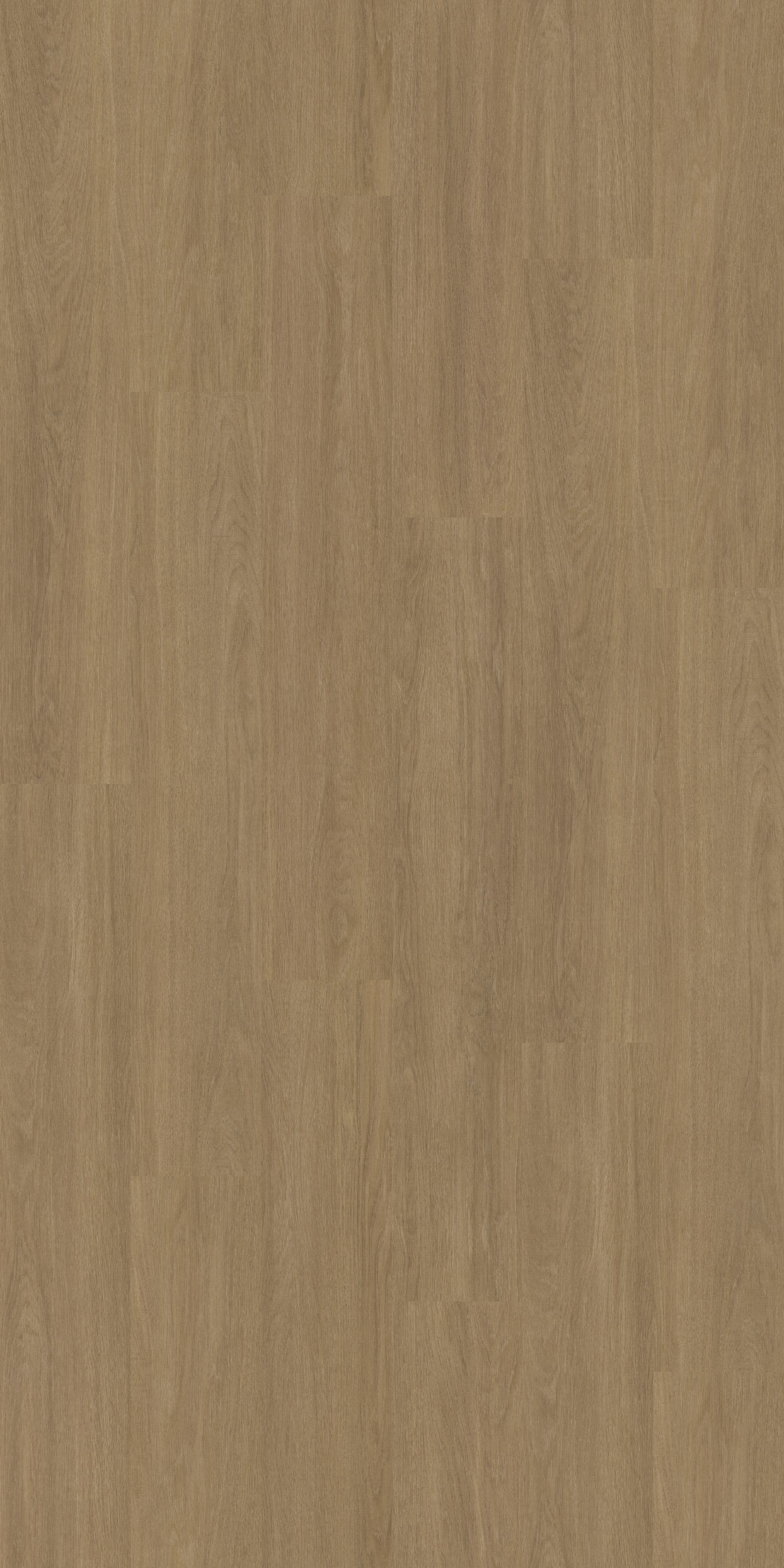 folder image