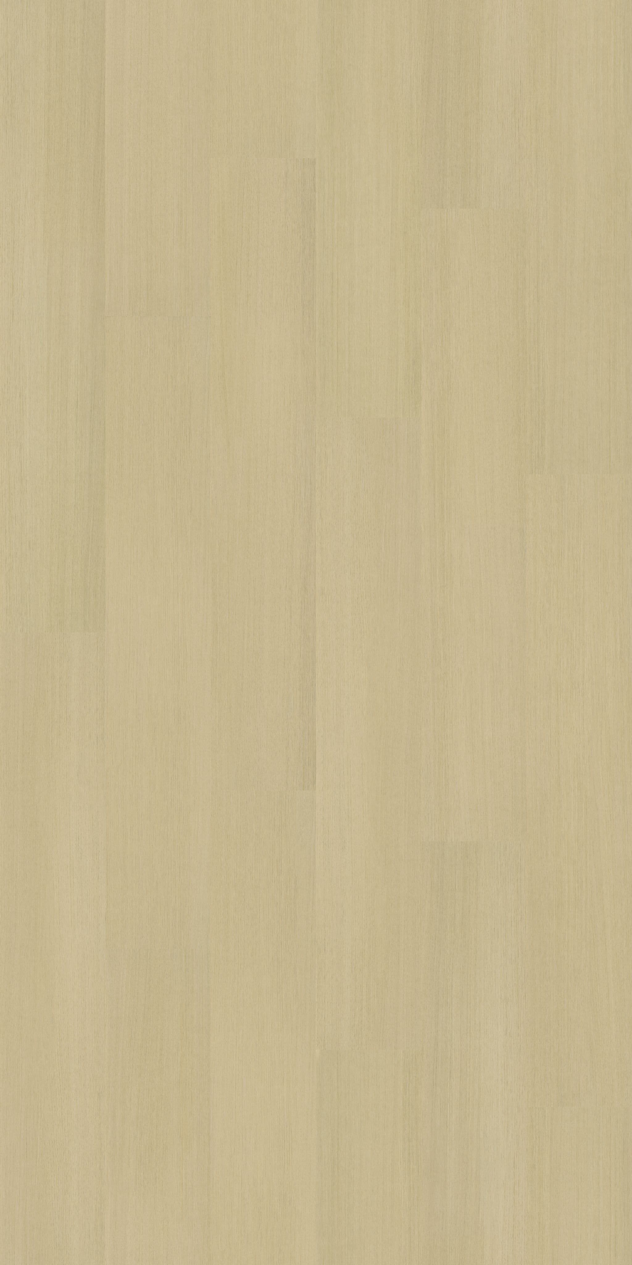 folder image