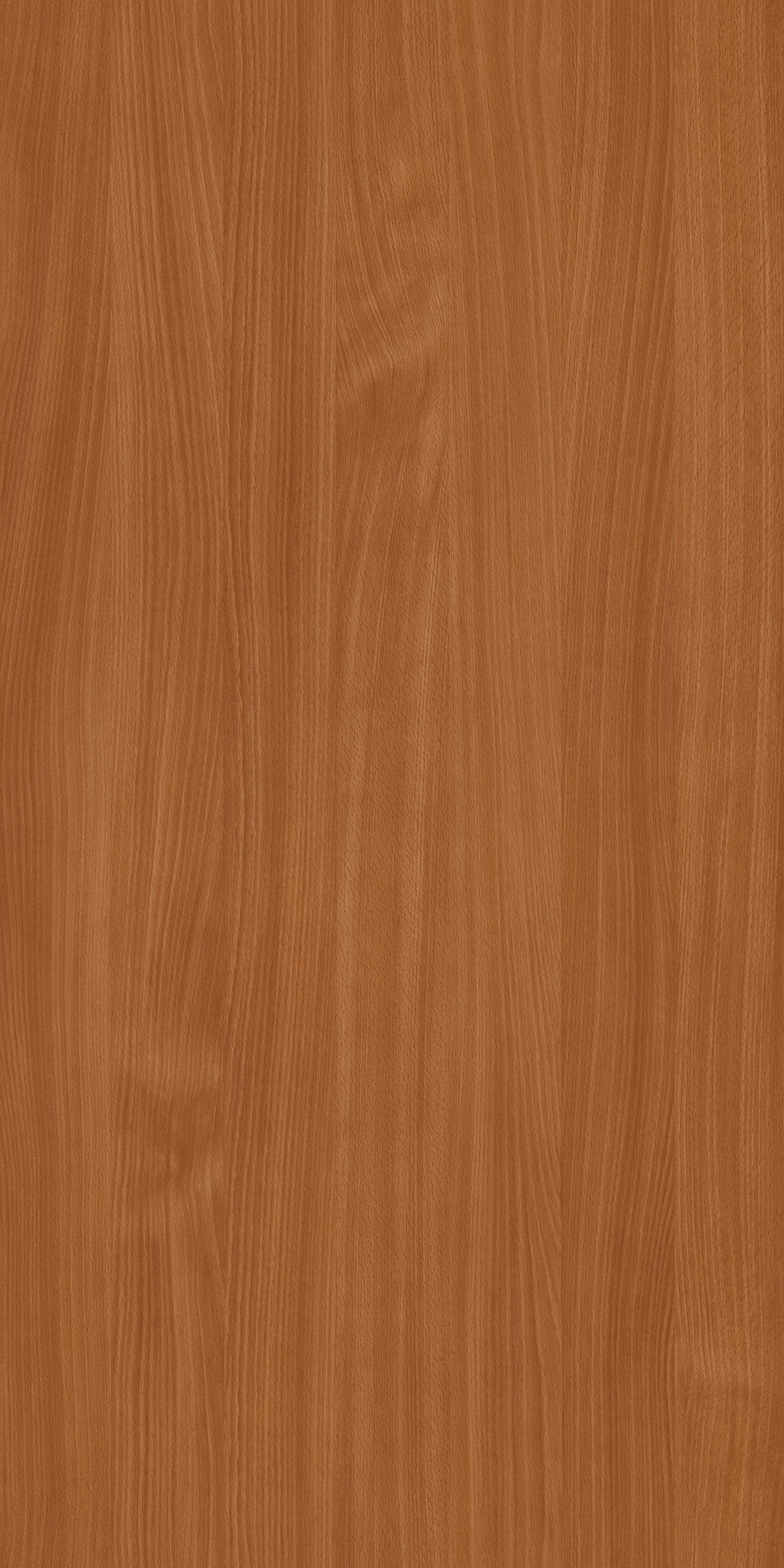 D381_MFC_Buk_Beech_1300x650mm