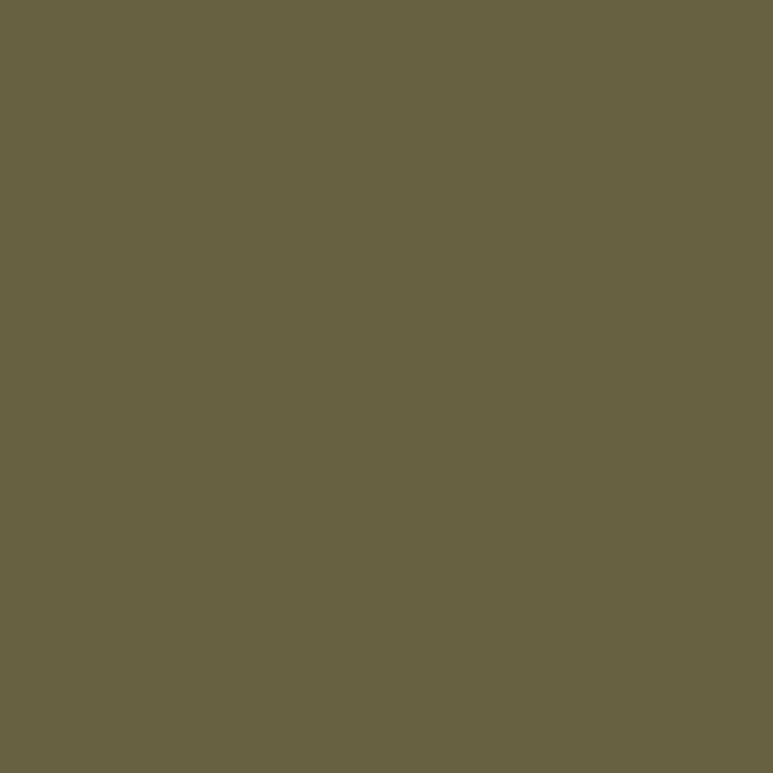 U2508_MFC_Oliwkowy_Olive_OG