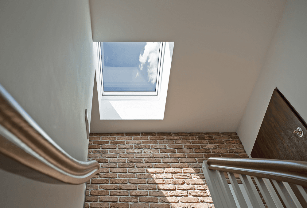 Nowe zdjęcie